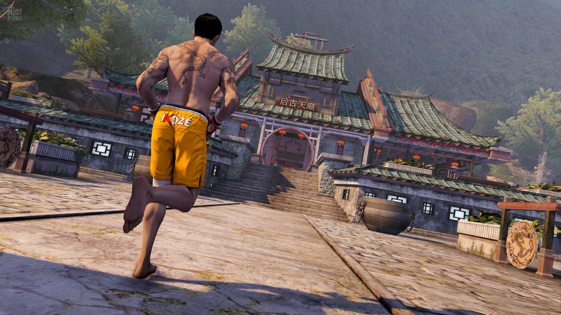 [16]-Sleeping Dogs: Definitive + Limited Editions Pack (24/30 DLCs) Download-HohohoGames