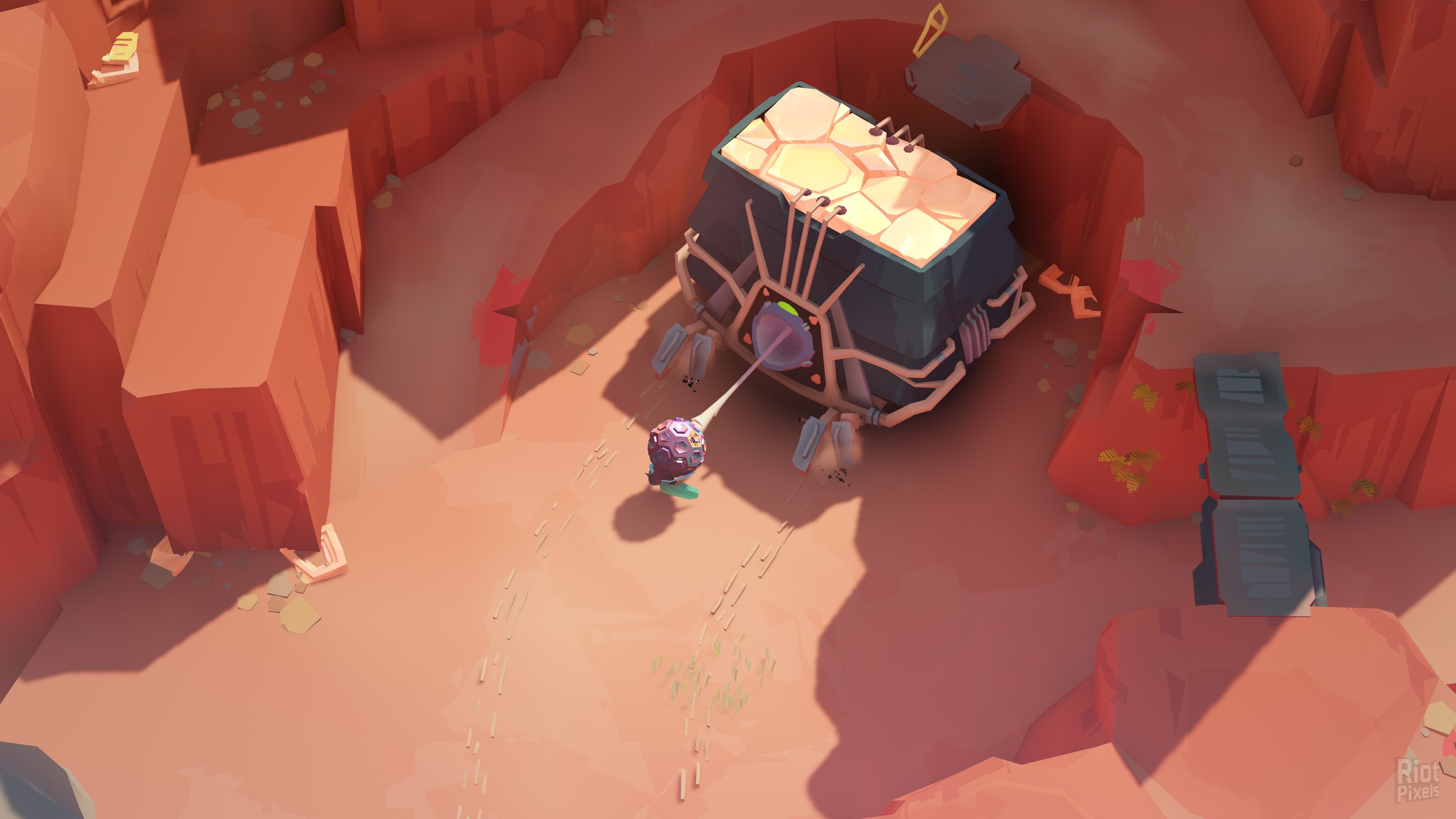 [5]-COCOON Download-HohohoGames