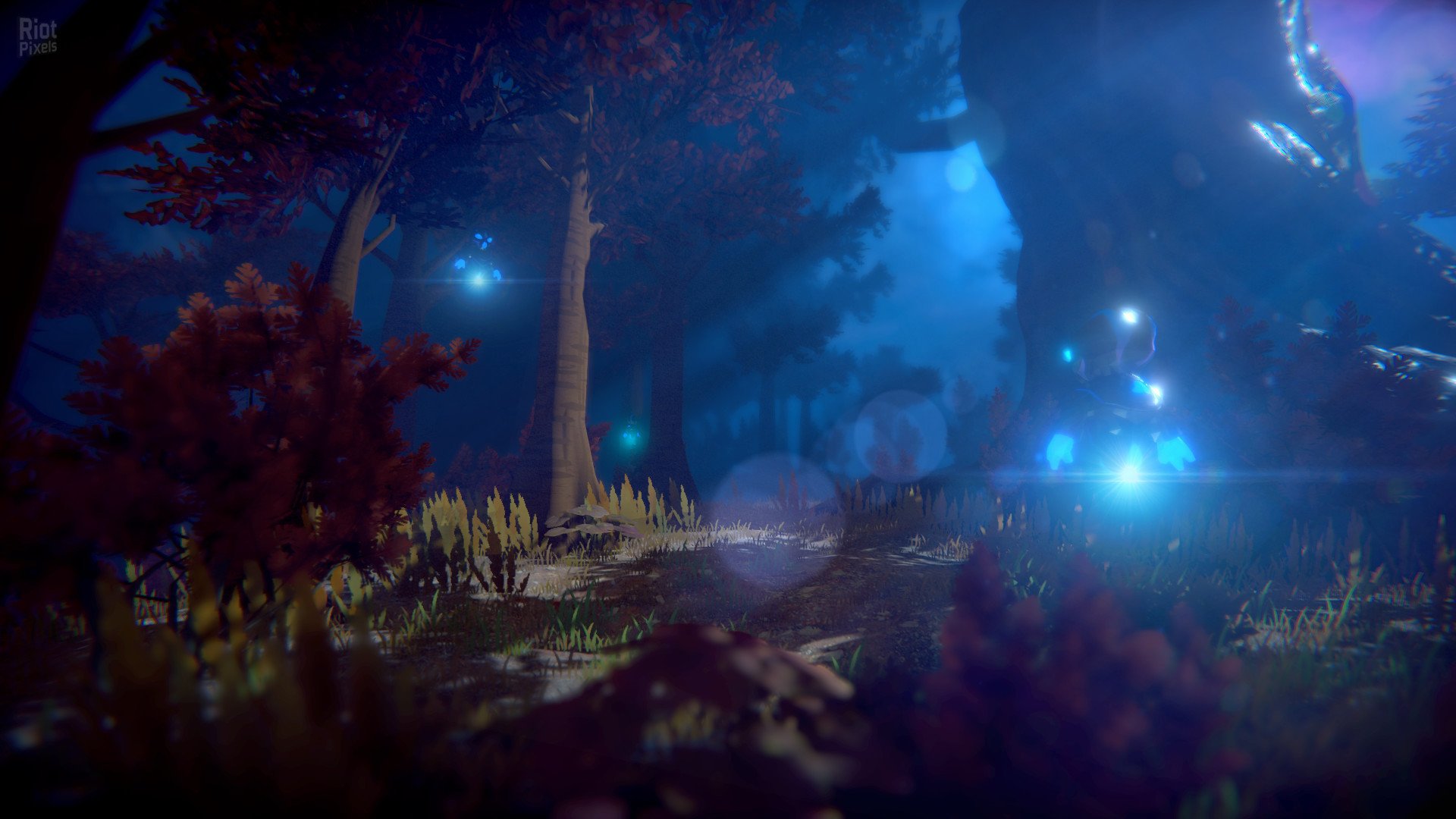 [8]-Seed of Life Download-HohohoGames