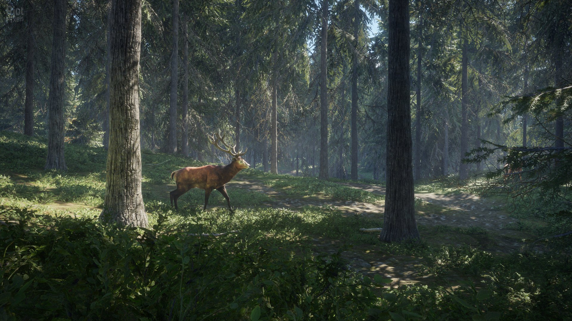 [13]-theHunter: Call of the Wild – Complete Collection – v2891297 + 64 DLCs Download-HohohoGames