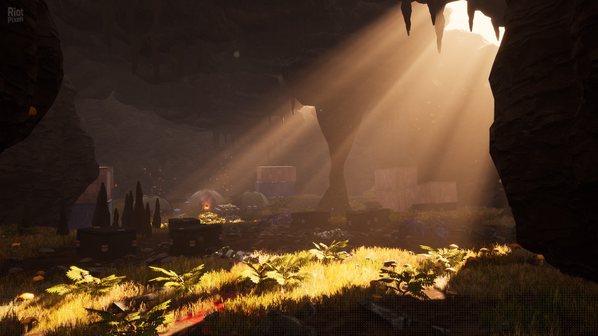 [5]-Within the Cosmos Download-HohohoGames