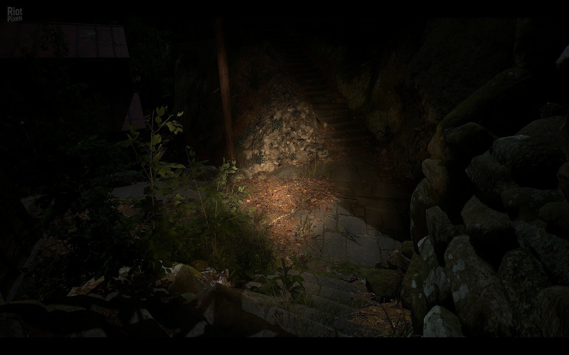 [11]-NARIBIKIMURA Download-HohohoGames