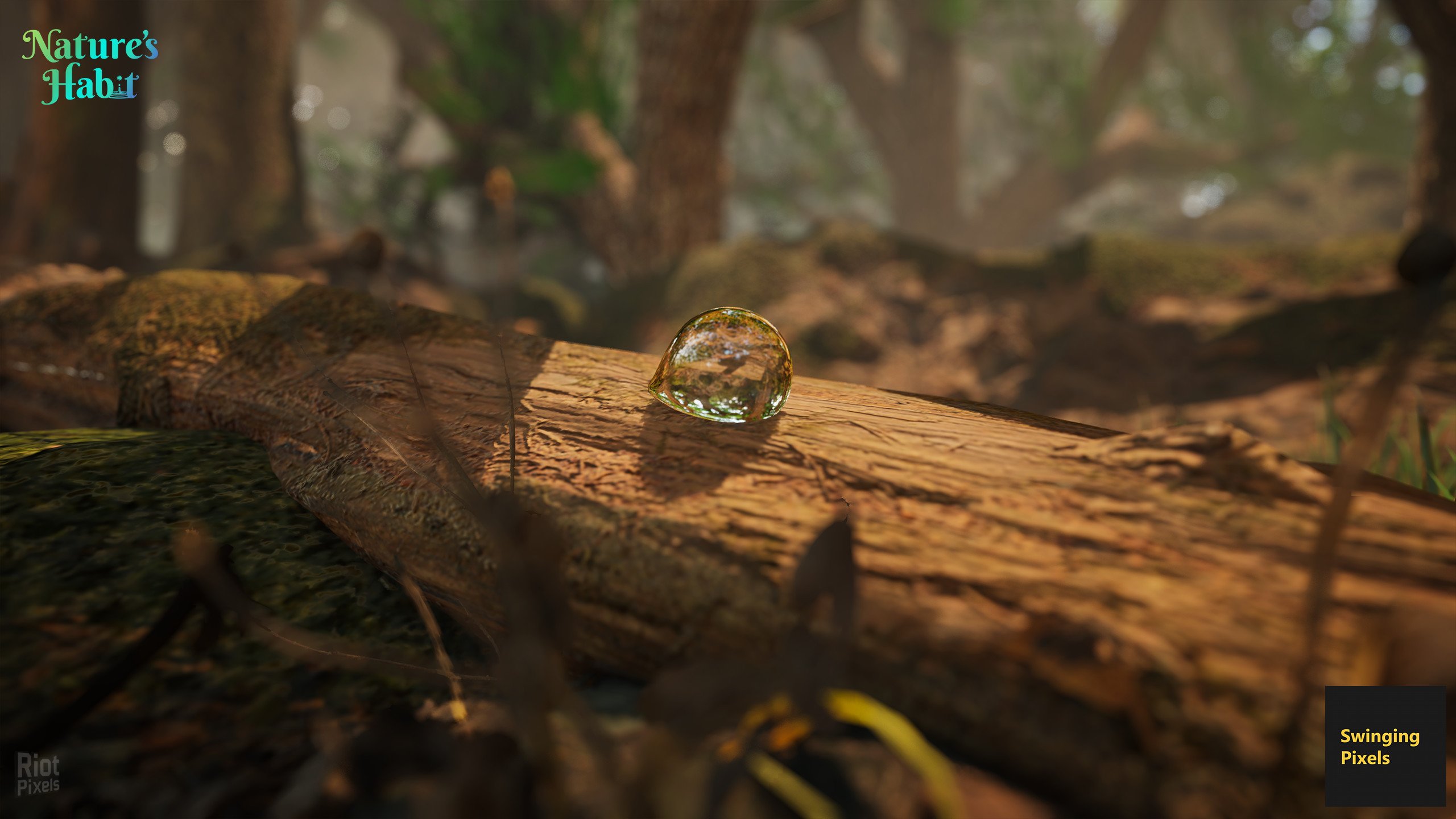 [5]-Nature’s Habit Download-HohohoGames