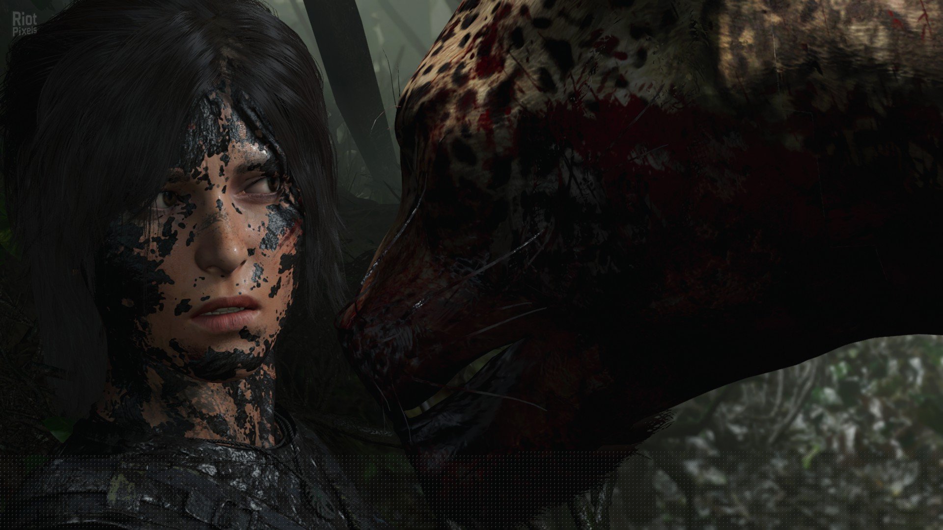 [12]-Shadow of the Tomb Raider: Definitive Edition – v1.0.449.0_64 + All DLCs + Bonus Content Download-HohohoGames