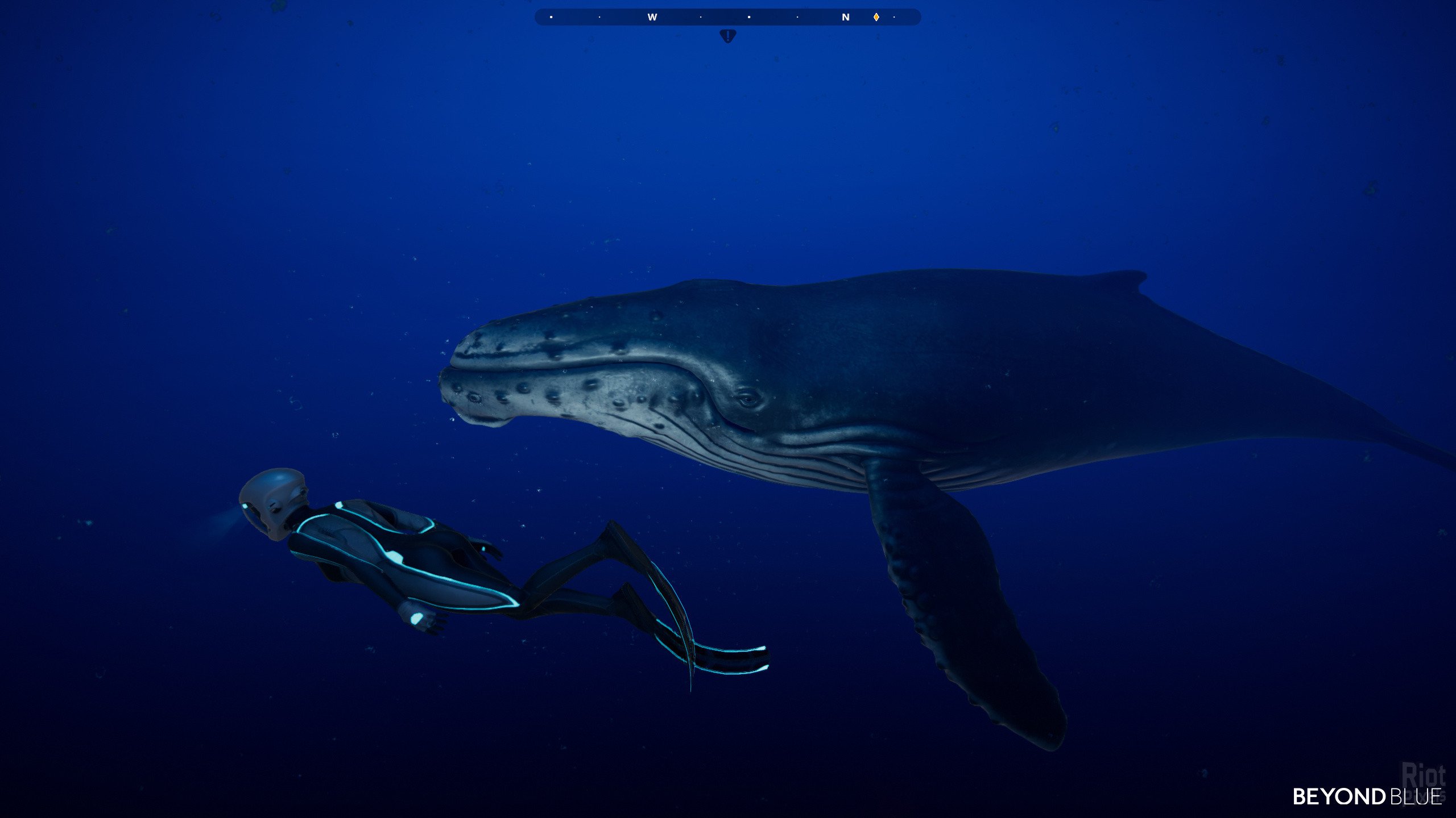 [8]-Beyond Blue – v1.7.17798 Download-HohohoGames