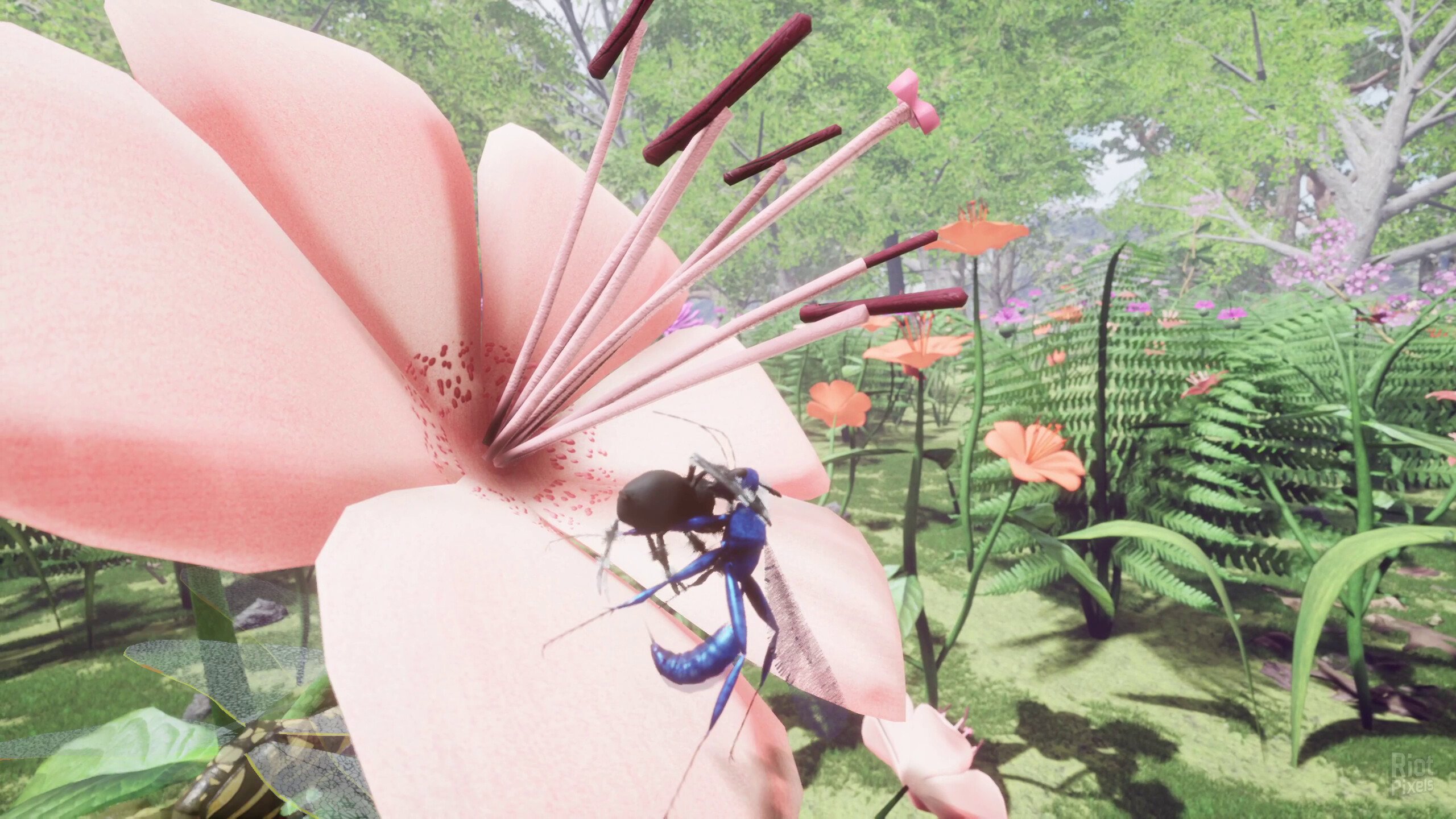[4]-Nature & Life: Drunk On Nectar + Bonus Soundtrack Download-HohohoGames