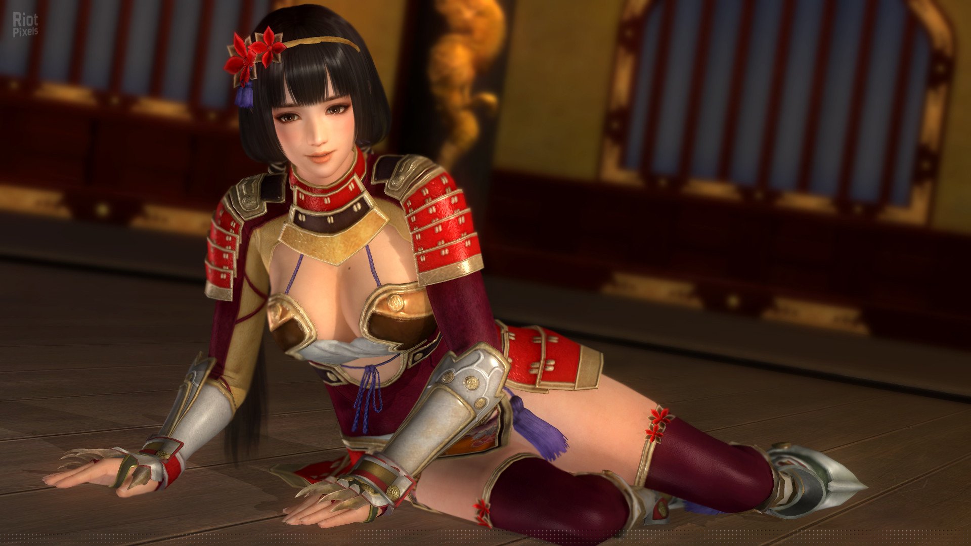 [8]-Dead or Alive 5: Last Round – v1.10C + All DLCs + Unlocker Download-HohohoGames