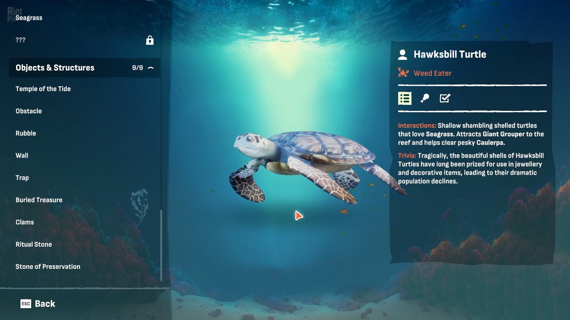 [7]-Crab God: Supporter Edition, v1.0.24 + Bonus Content Download-HohohoGames