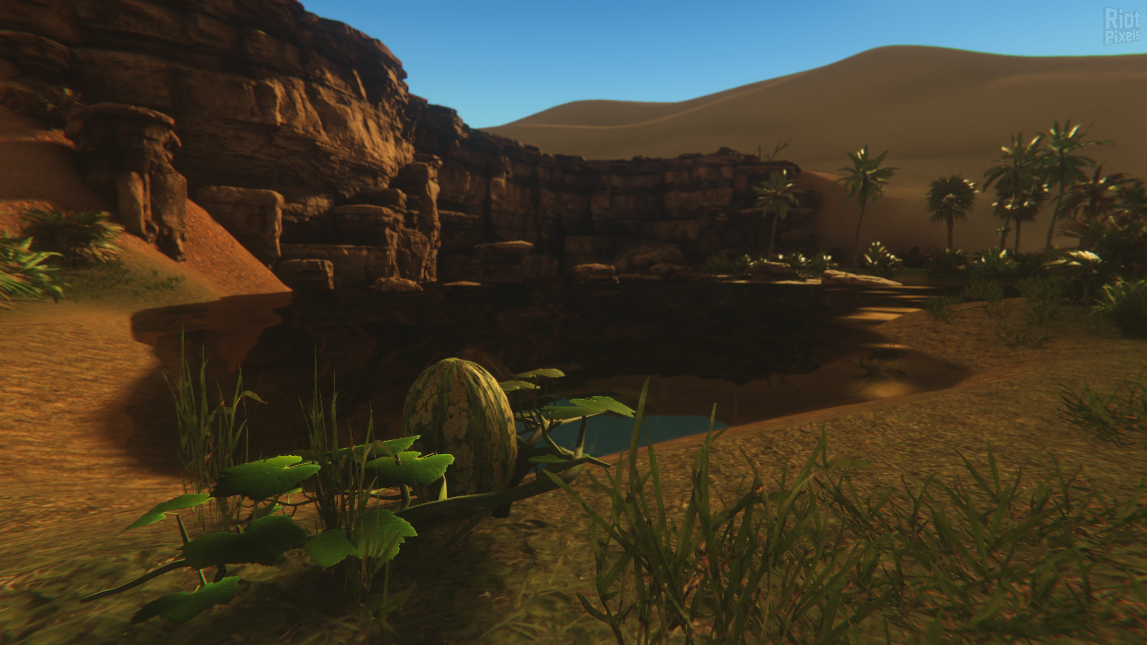[2]-Starsand: Digital Supporter Edition – v1.0.9 + Bonus Content Download-HohohoGames