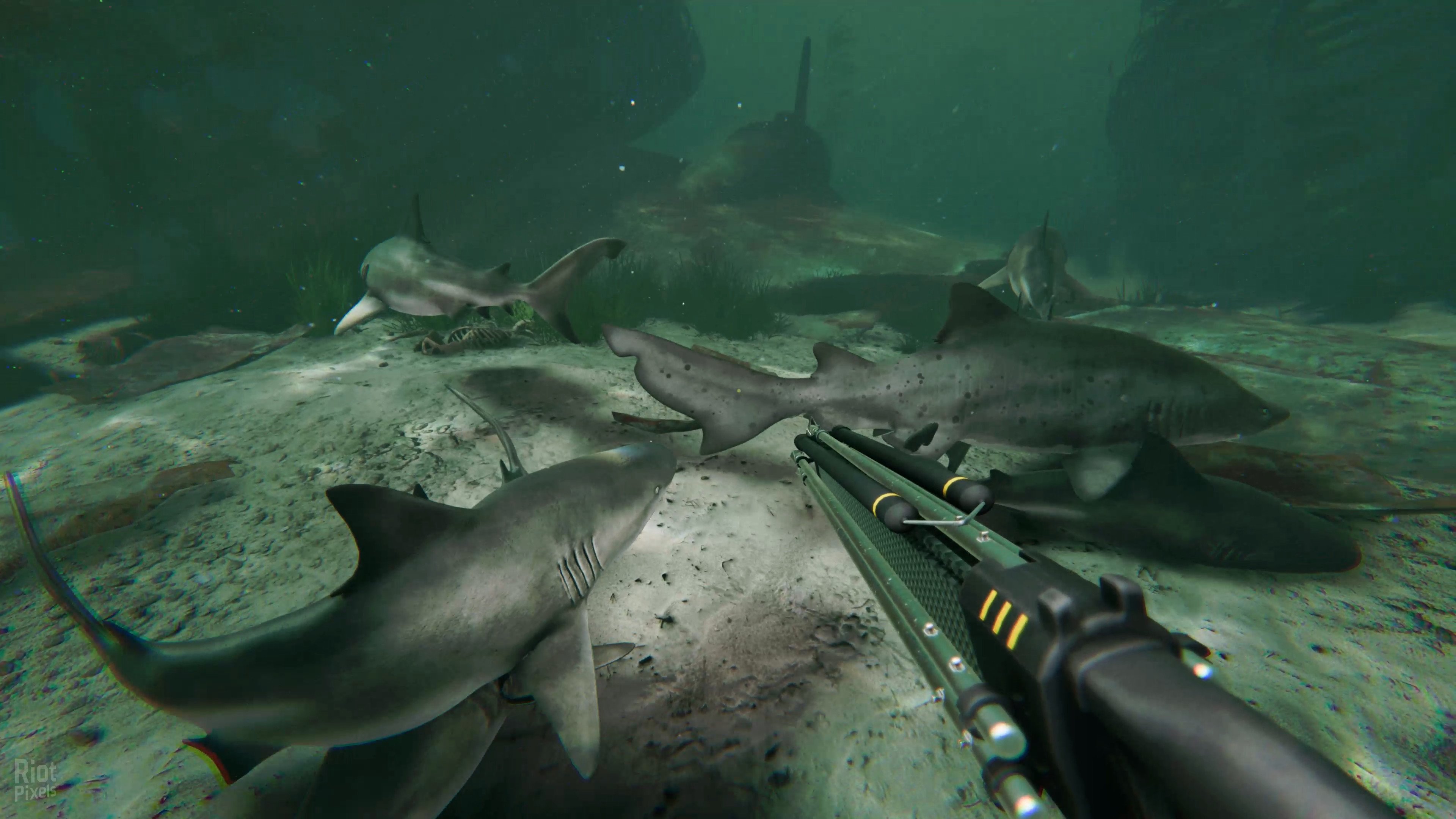[12]-Death in the Water 2 – v1.1.10 Download-HohohoGames