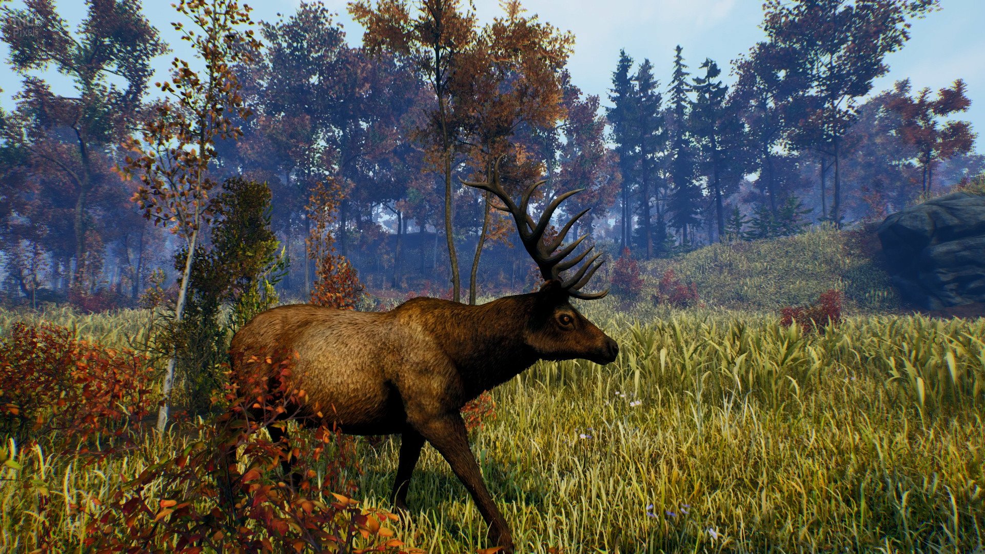 [8]-Open Country – v1.0.0.2636 Download-HohohoGames