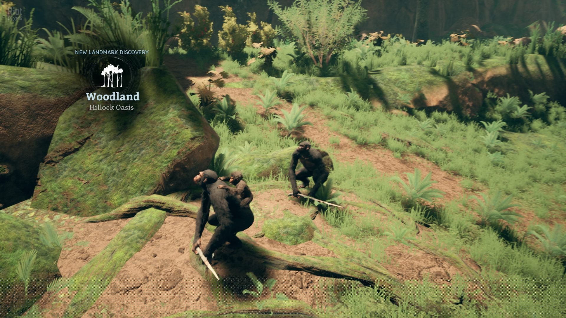 [9]-Ancestors: The Humankind Odyssey – v1.4 Download-HohohoGames