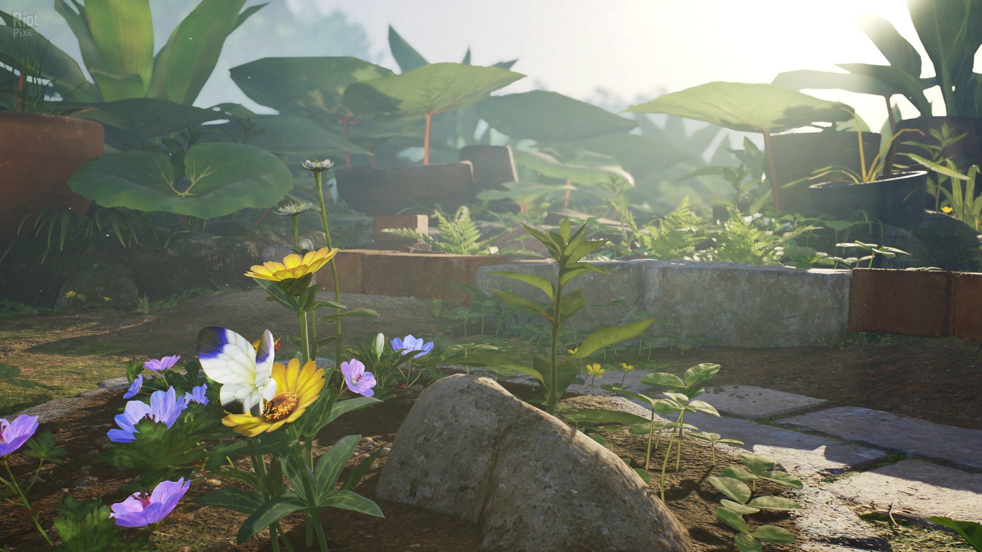 [8]-Pikmin 4 – v1.0.1 + Switch Emulators Download-HohohoGames