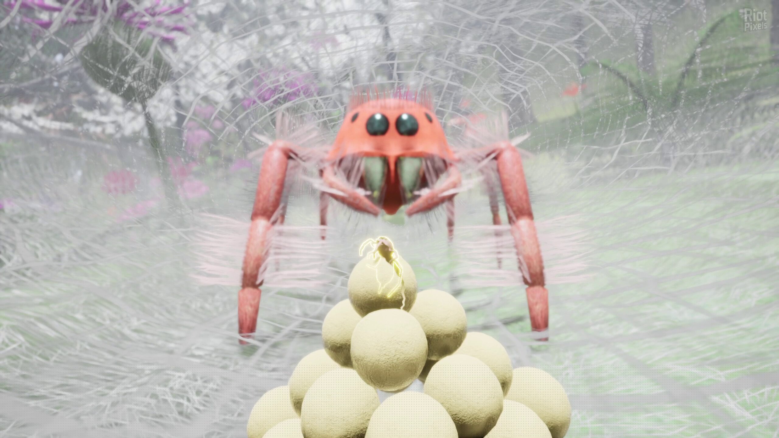 [6]-Nature & Life: Drunk On Nectar + Bonus Soundtrack Download-HohohoGames