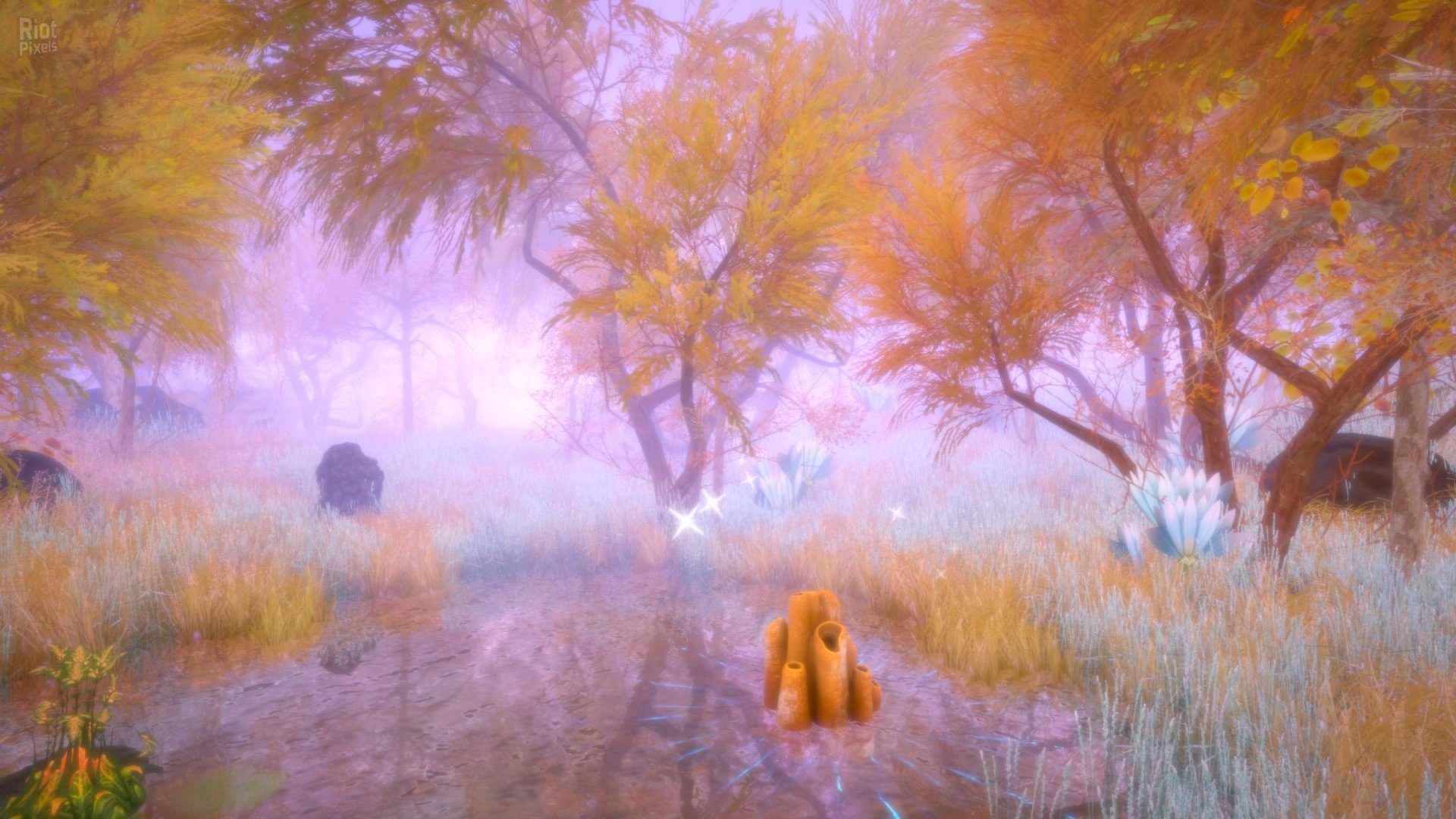 [2]-Hidden Treasures in the Forest of Dreams Download-HohohoGames