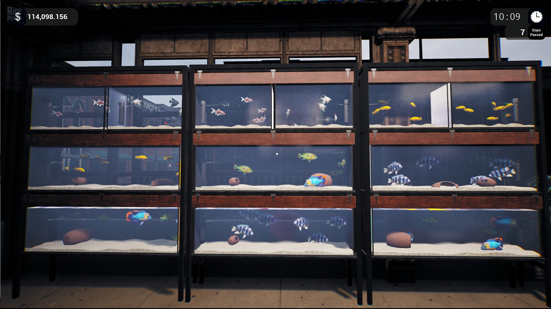 [8]-Exotica: Petshop Simulator – v1.0.6 Download-HohohoGames