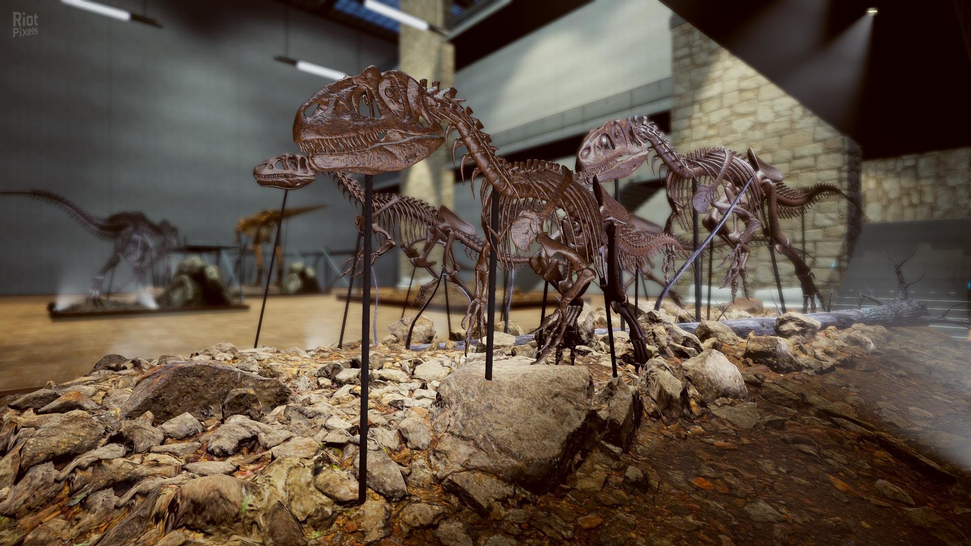[4]-Dinosaur Fossil Hunter – v2.0.21 Download-HohohoGames