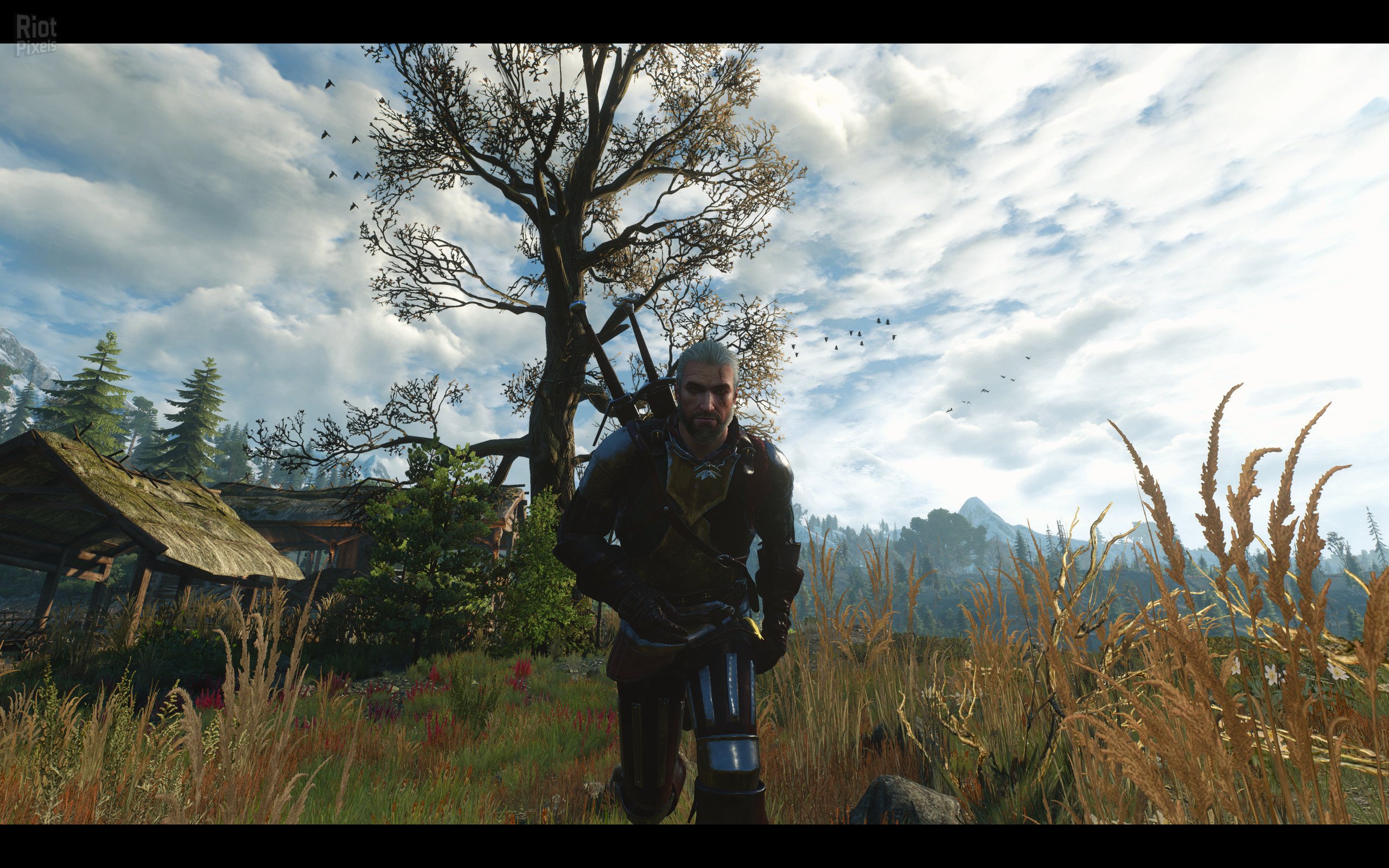 [3]-The Witcher 3: Wild Hunt – Game of the Year Edition v1.31/v1.32 + HD Mod Download-HohohoGames