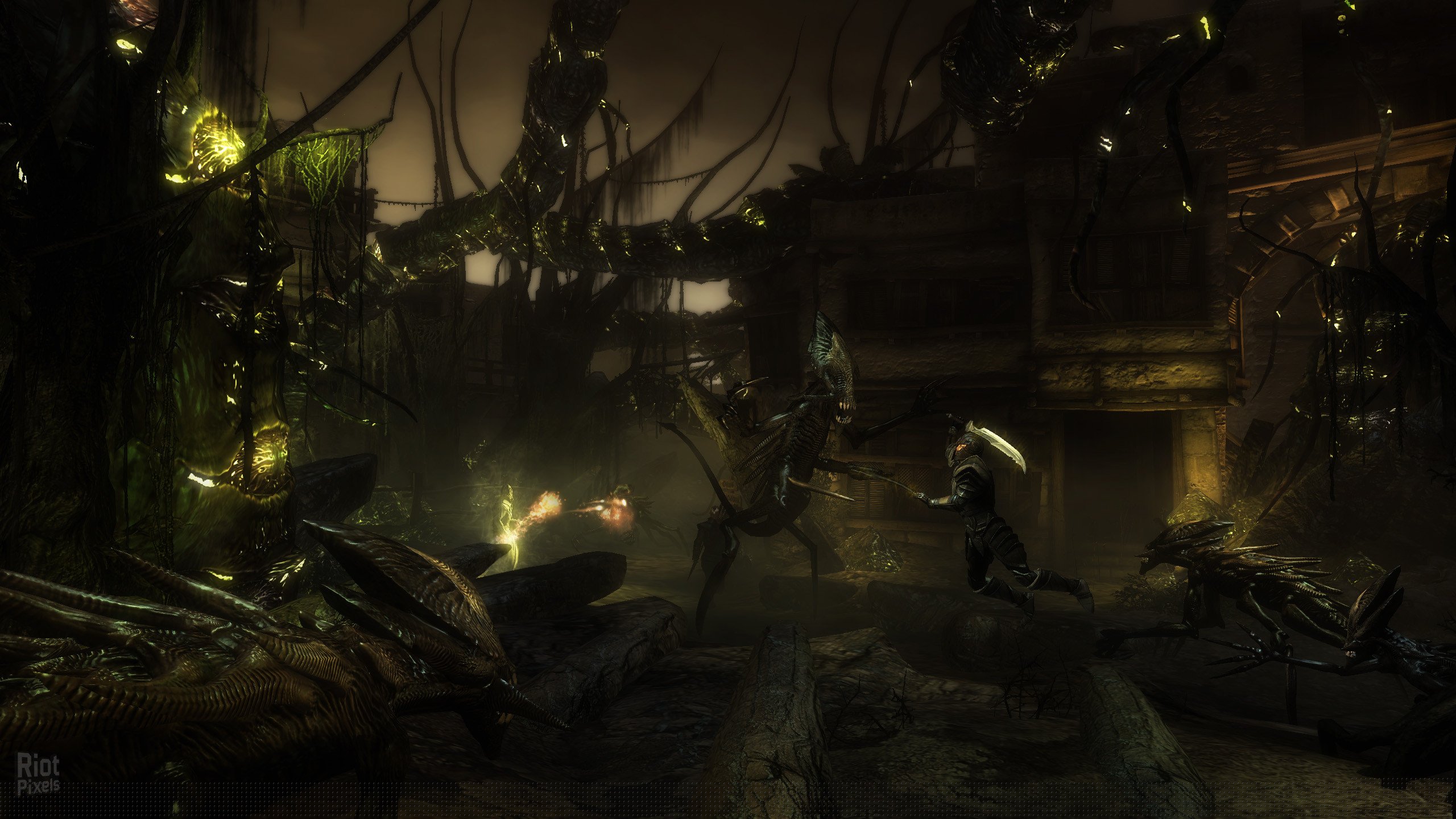 [6]-Two Worlds II HD – v2.07 + All DLCs Download-HohohoGames