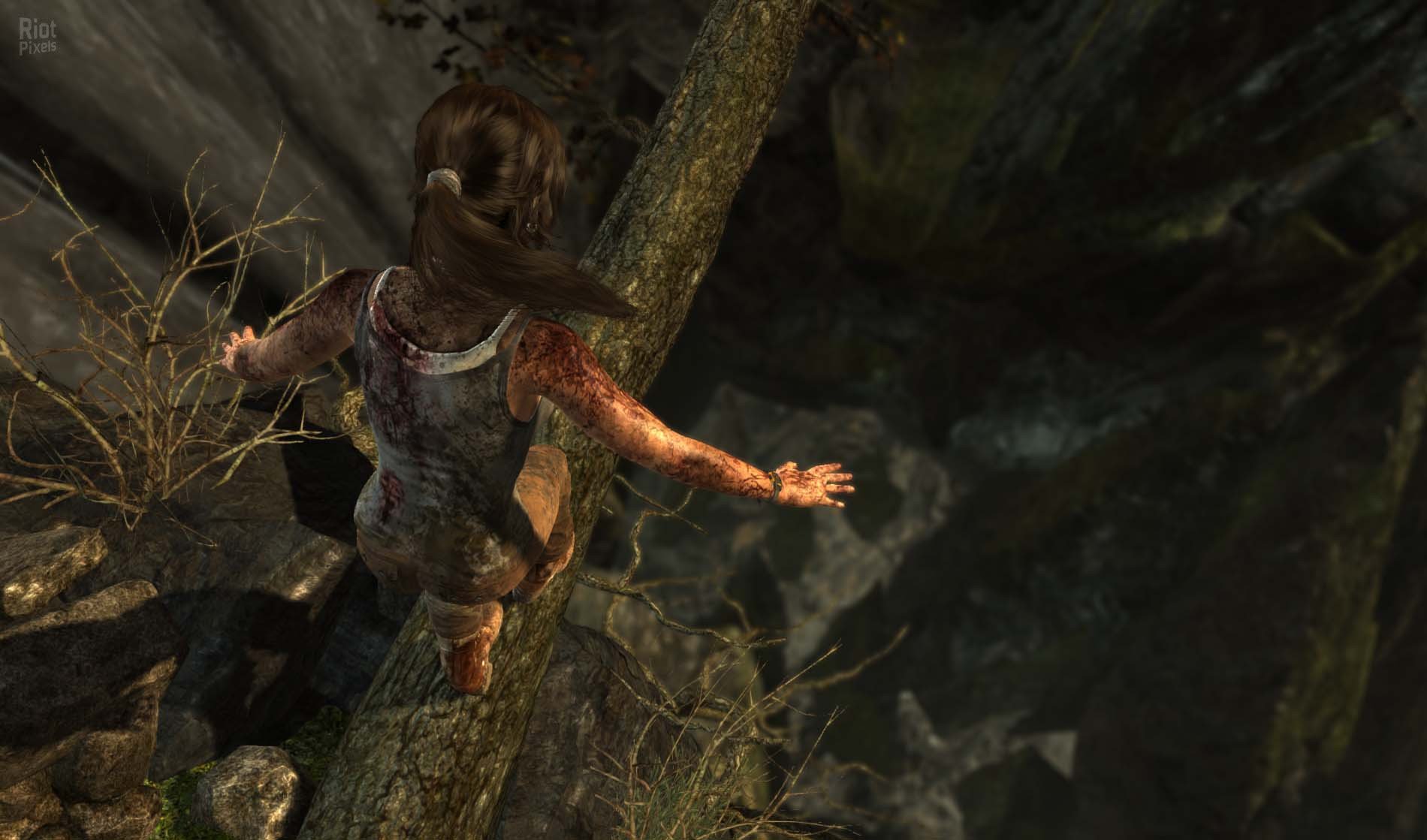 [3]-Tomb Raider: Definitive Edition – v1.01.0.0 + All DLCs Download-HohohoGames