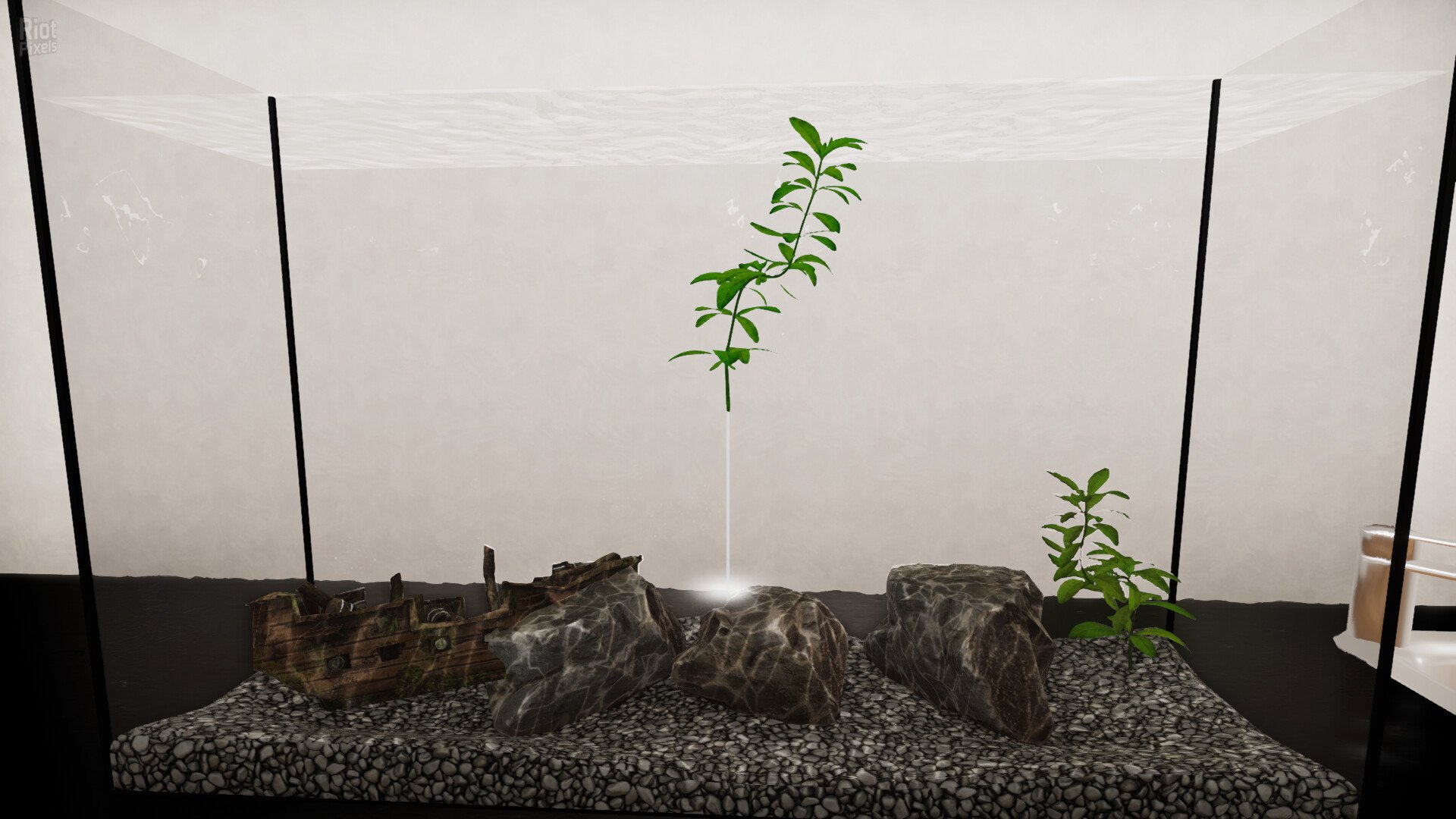 [7]-Aquatic Store Simulator Download-HohohoGames