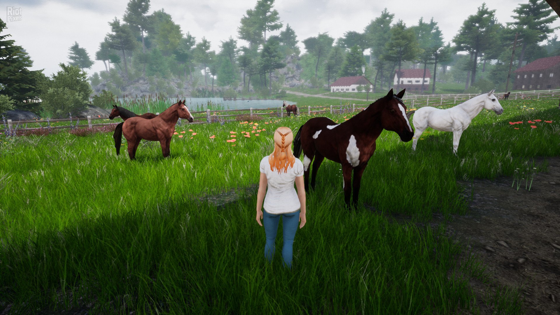 [12]-Horse Riding Deluxe 2 Download-HohohoGames