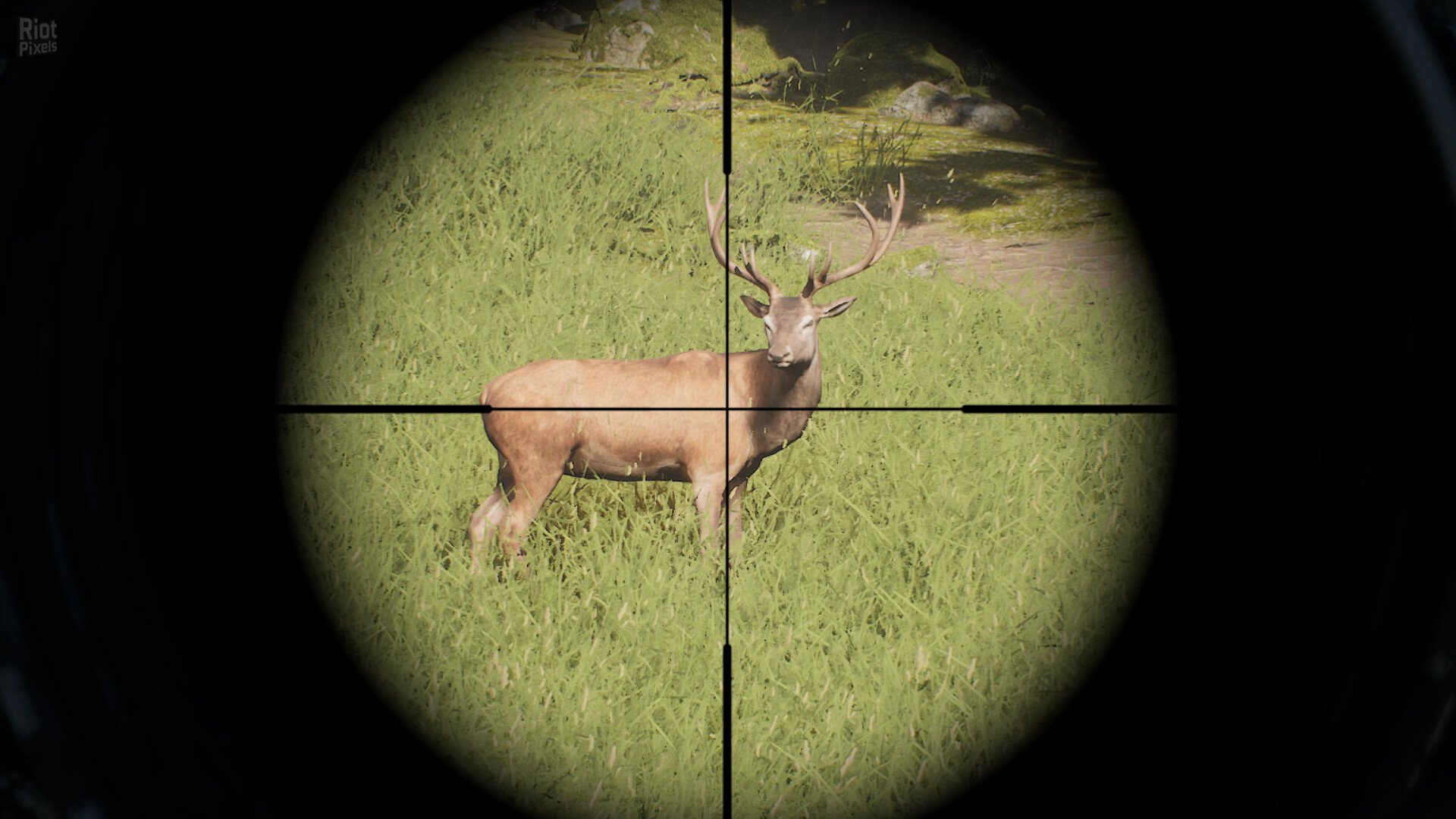 [14]-Project Hunt Download-HohohoGames