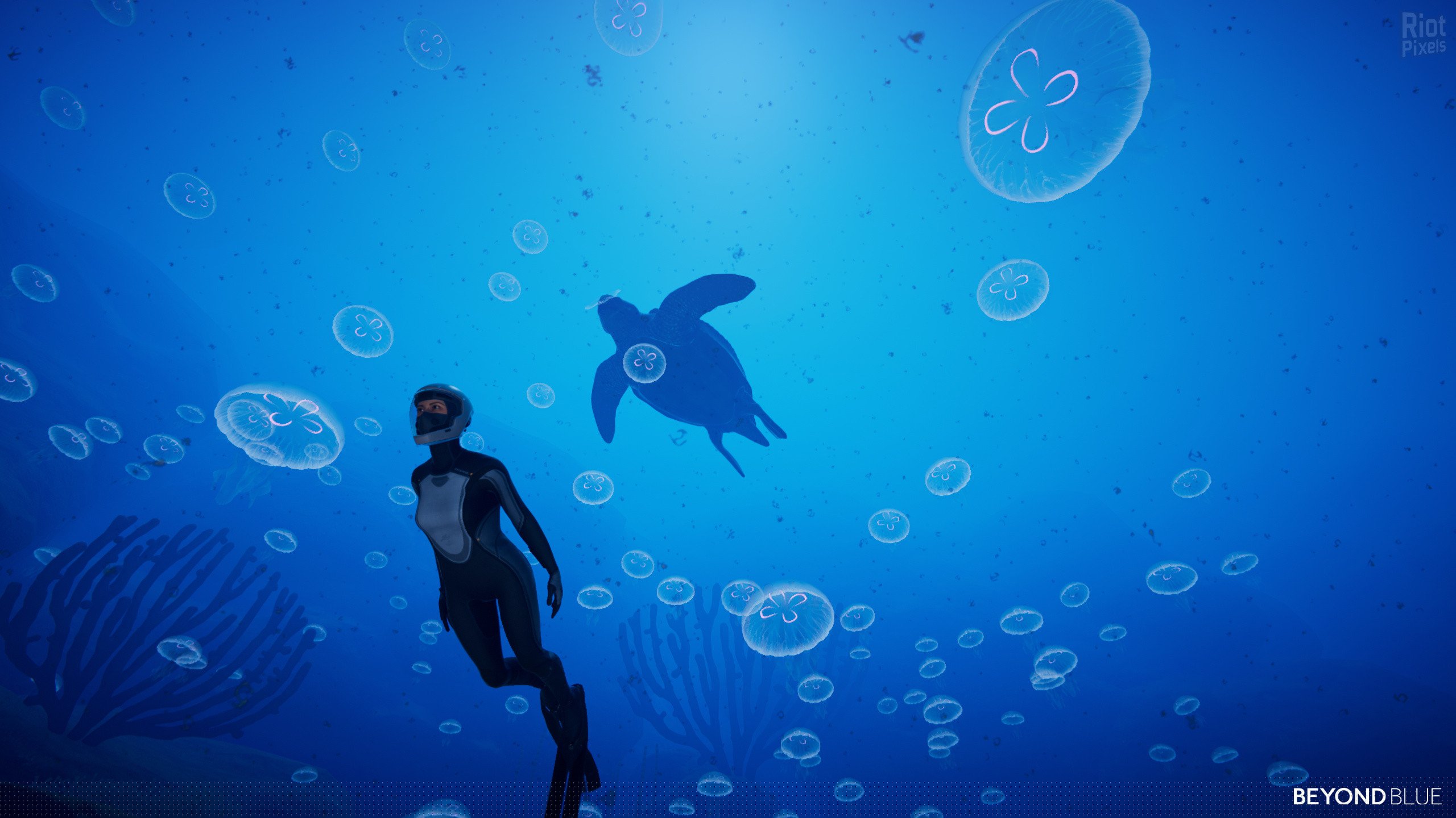 [5]-Beyond Blue – v1.7.17798 Download-HohohoGames