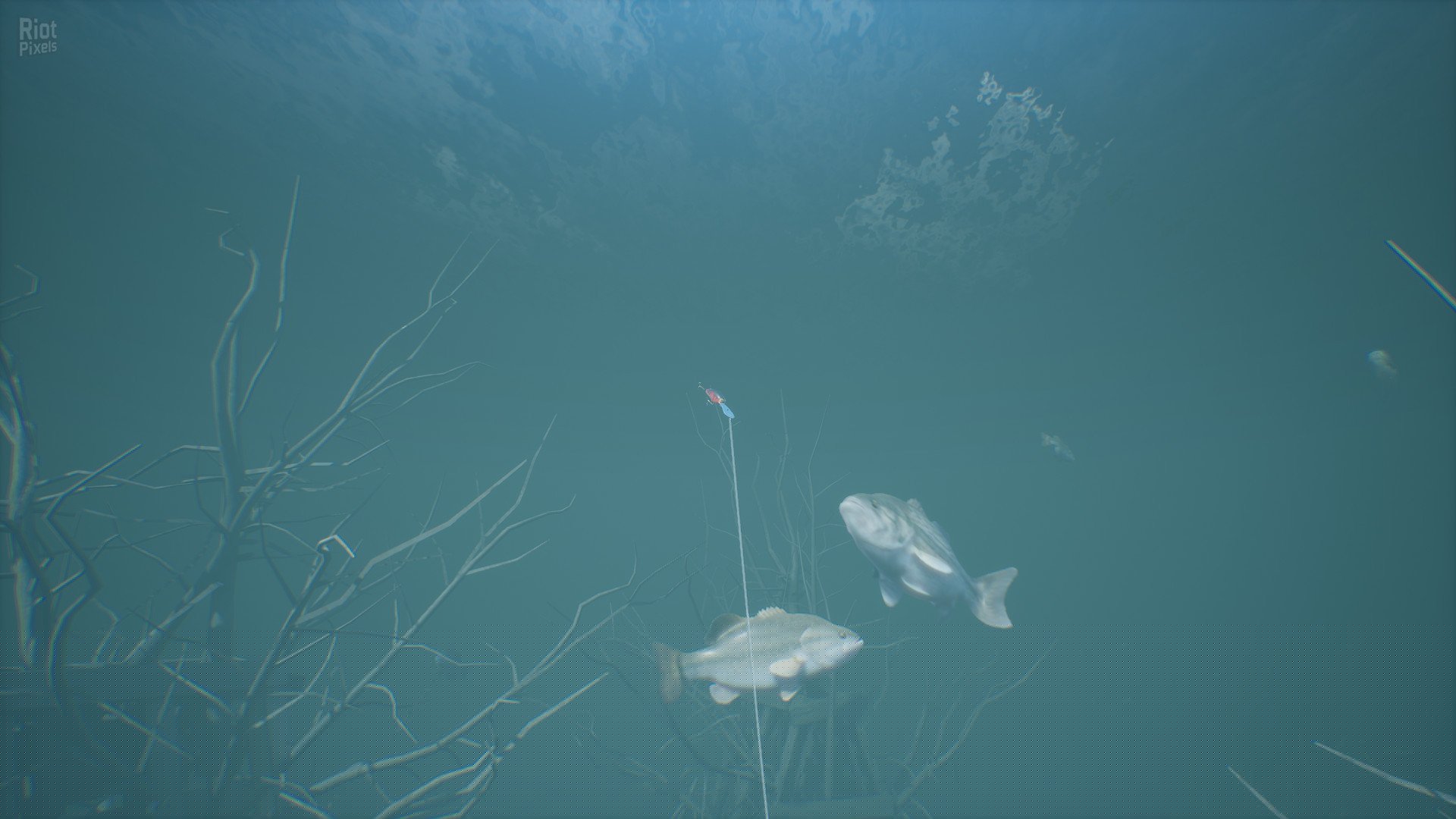 [7]-Bassmaster Fishing 2022 – v0.5.64041.0 + 7 DLCs Download-HohohoGames