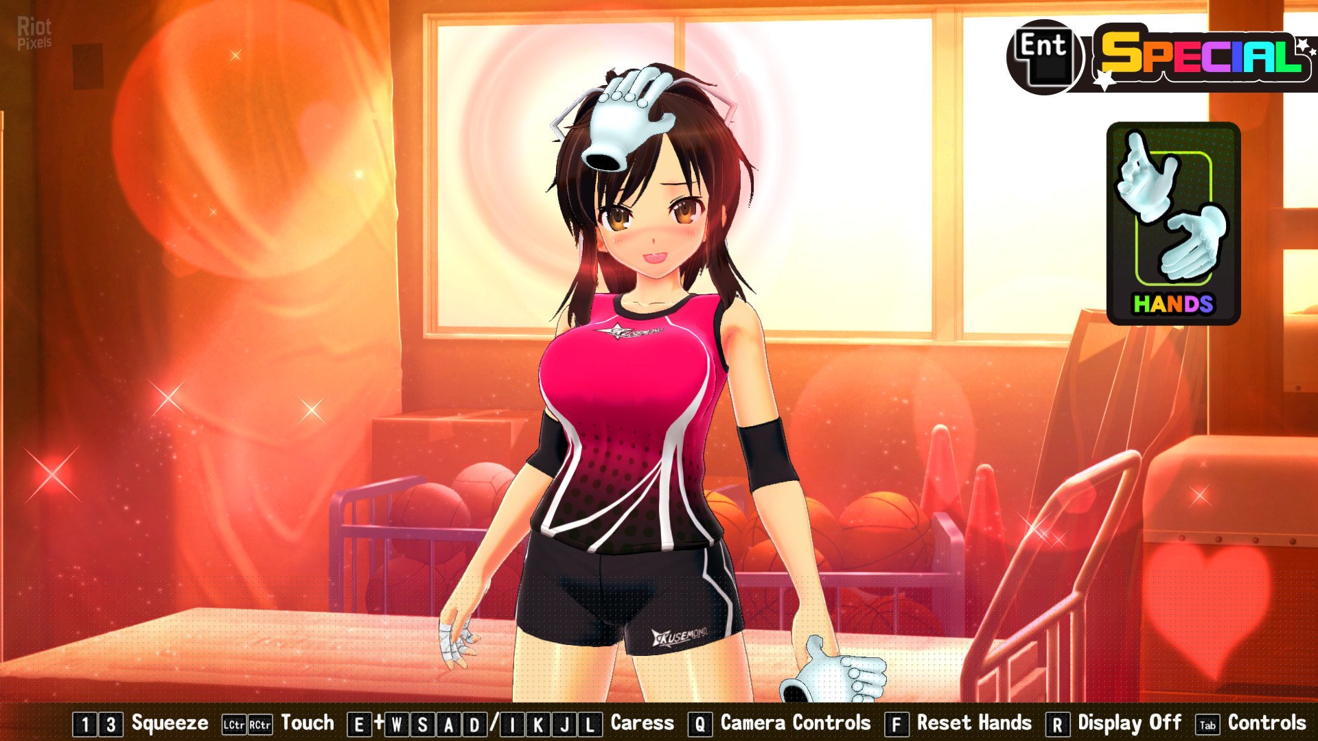 [13]-SENRAN KAGURA Reflexions + 20 DLCs Download-HohohoGames