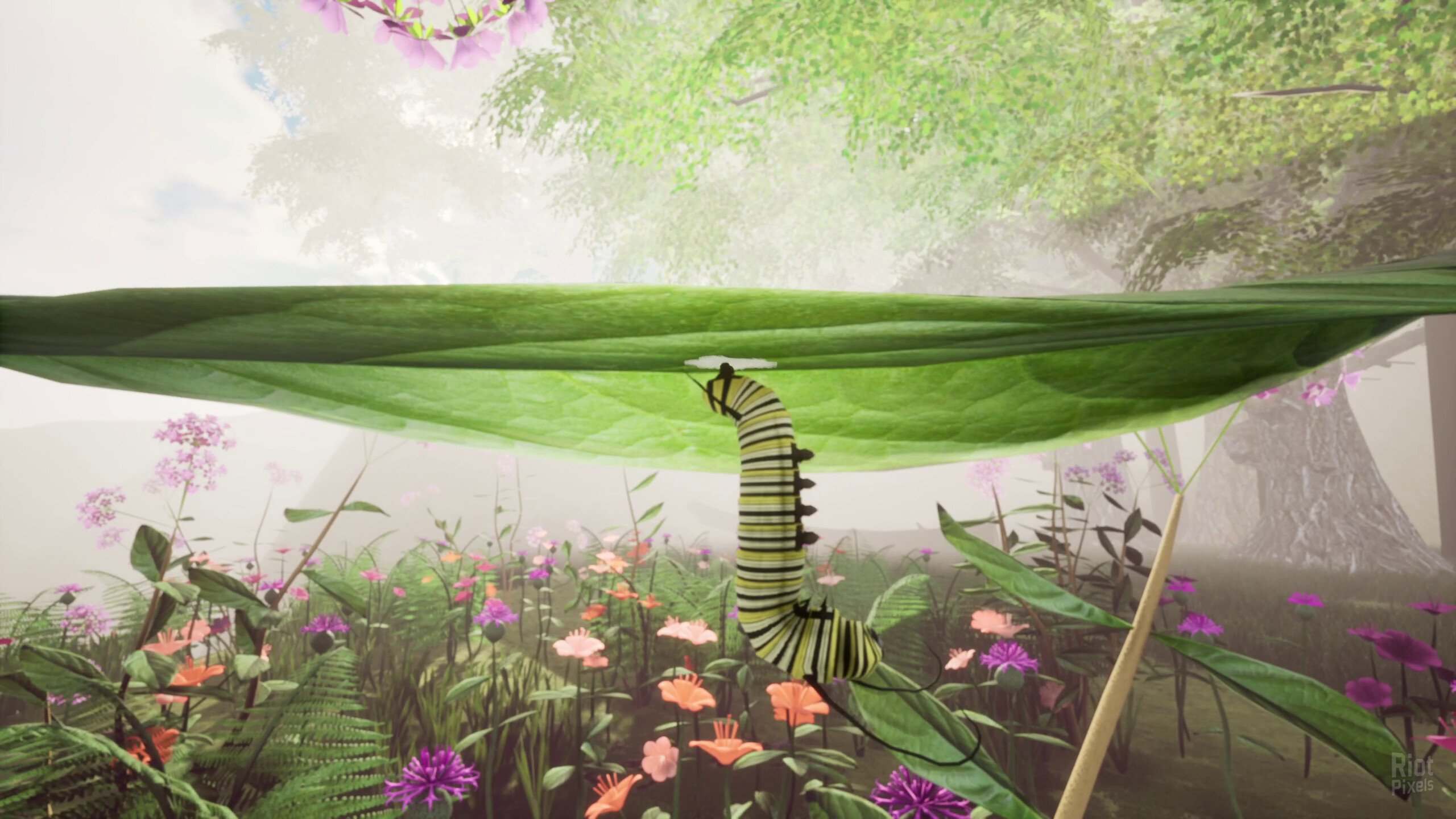 [10]-Nature & Life: Drunk On Nectar + Bonus Soundtrack Download-HohohoGames