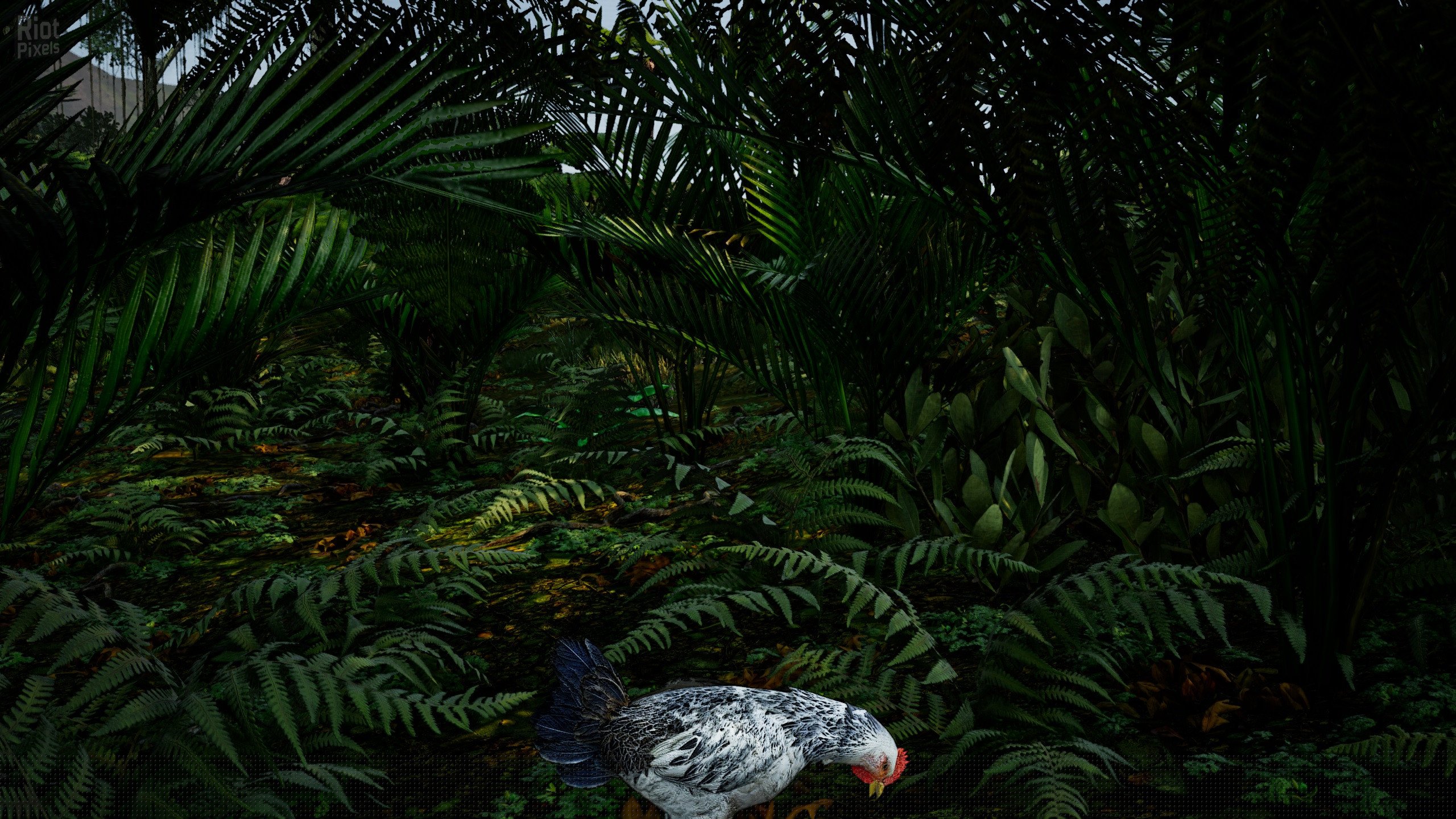 [10]-Ashes of Oahu Download-HohohoGames