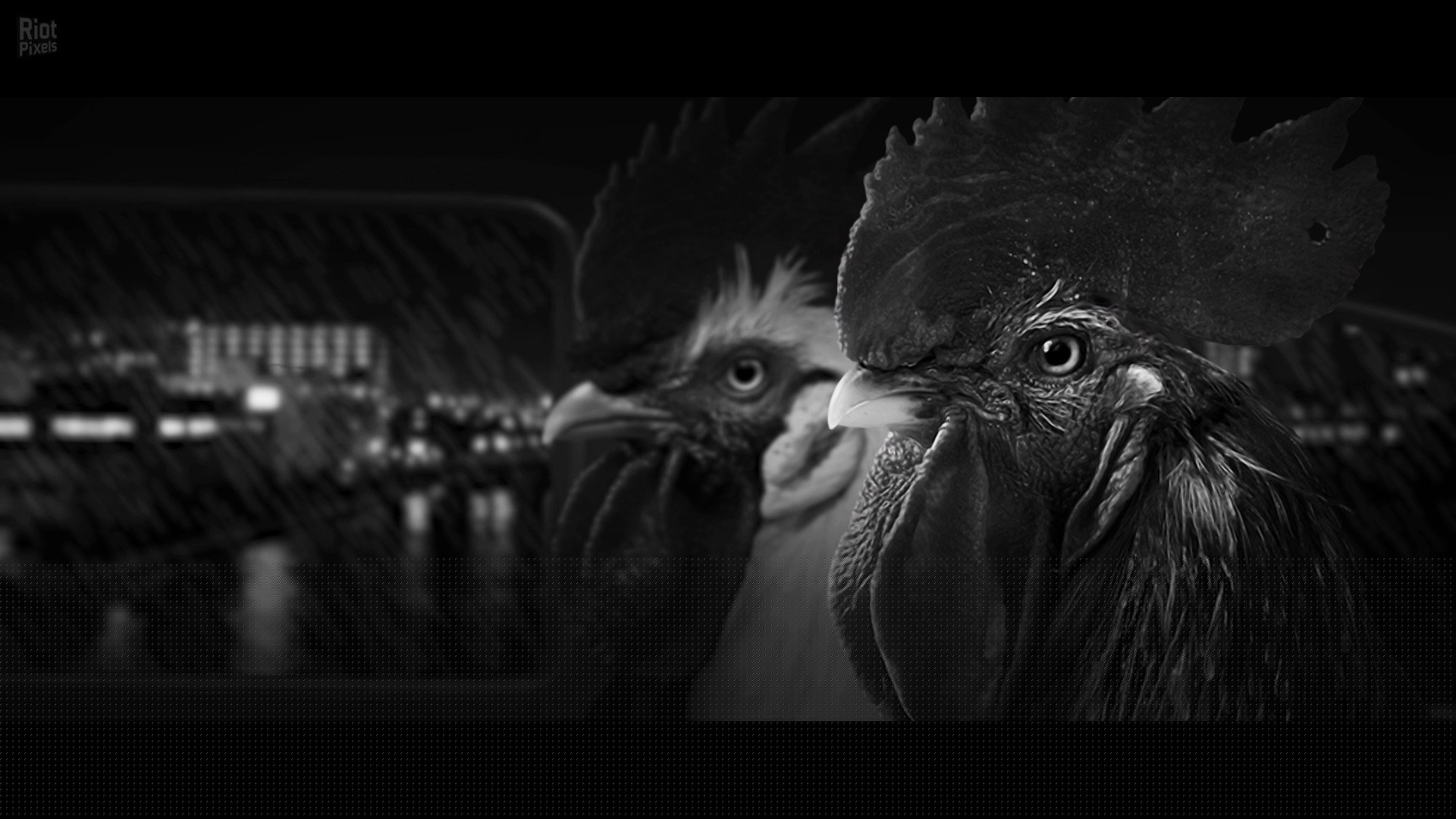 [11]-Chicken Police Download-HohohoGames