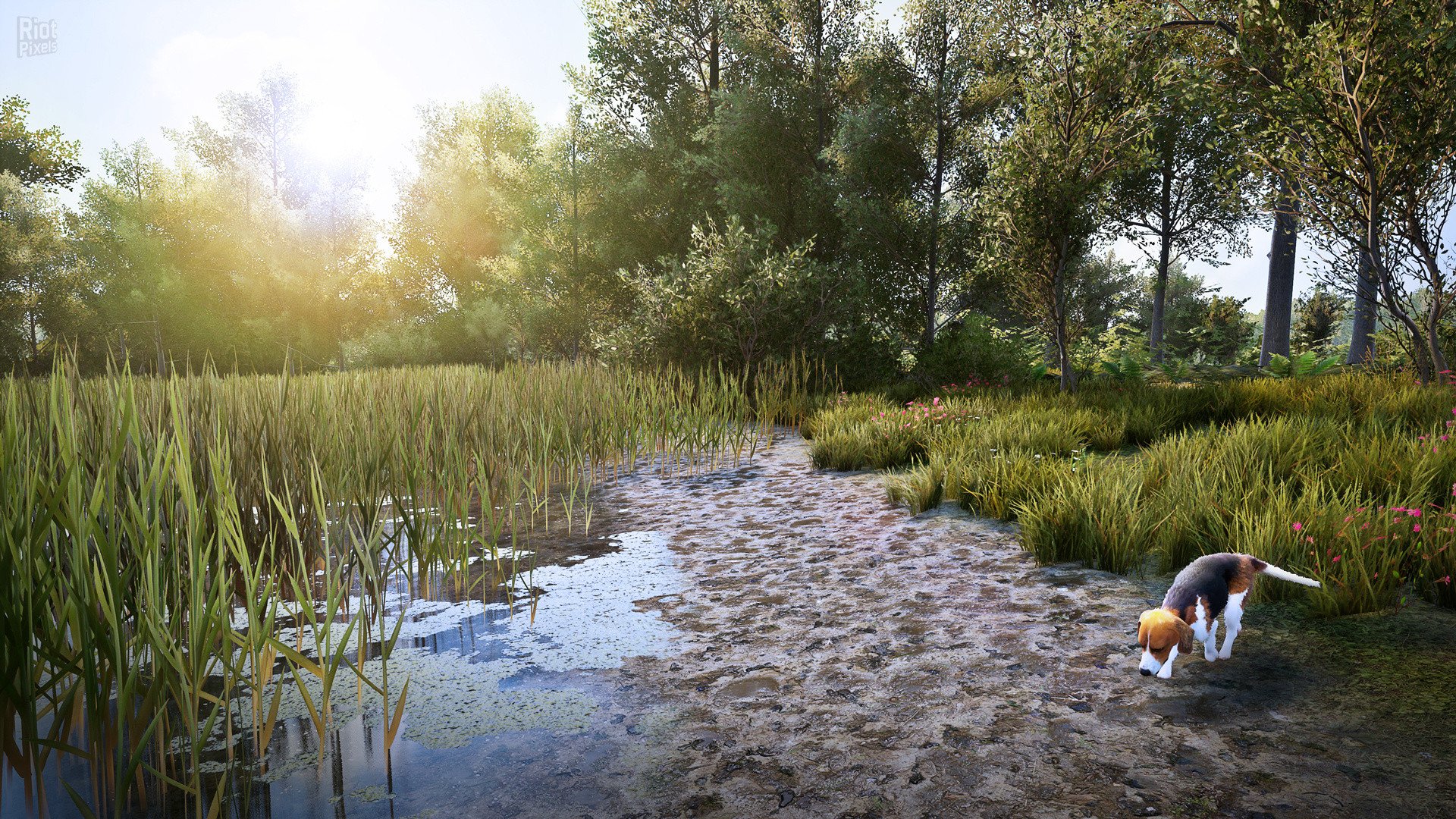 [3]-Hunting Simulator 2: Elite Edition – v1.0.0.311.66949 + 4 DLCs Download-HohohoGames
