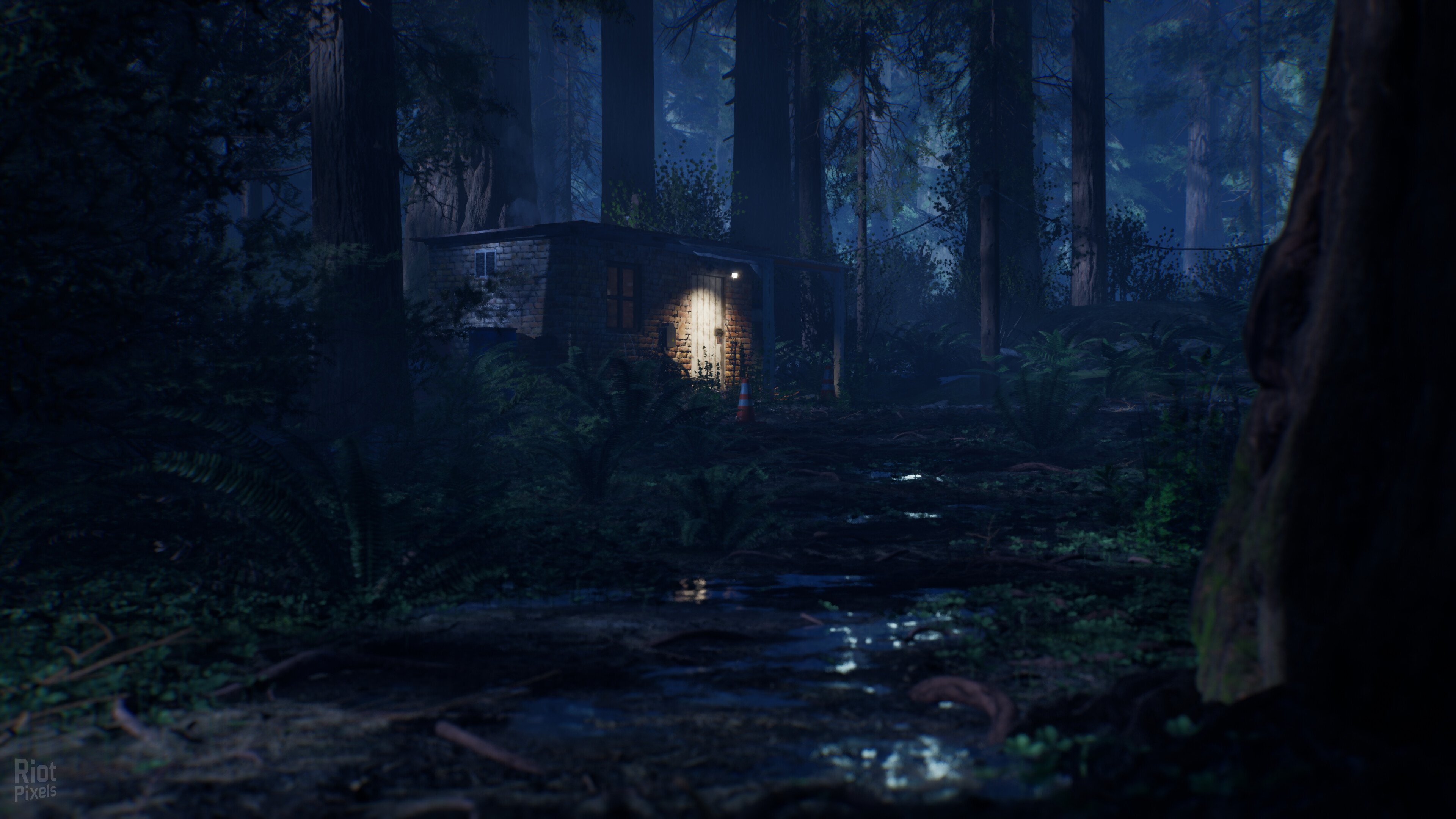 [6]-Who is Abby – v1.0.0 + Windows 7 Fix Download-HohohoGames