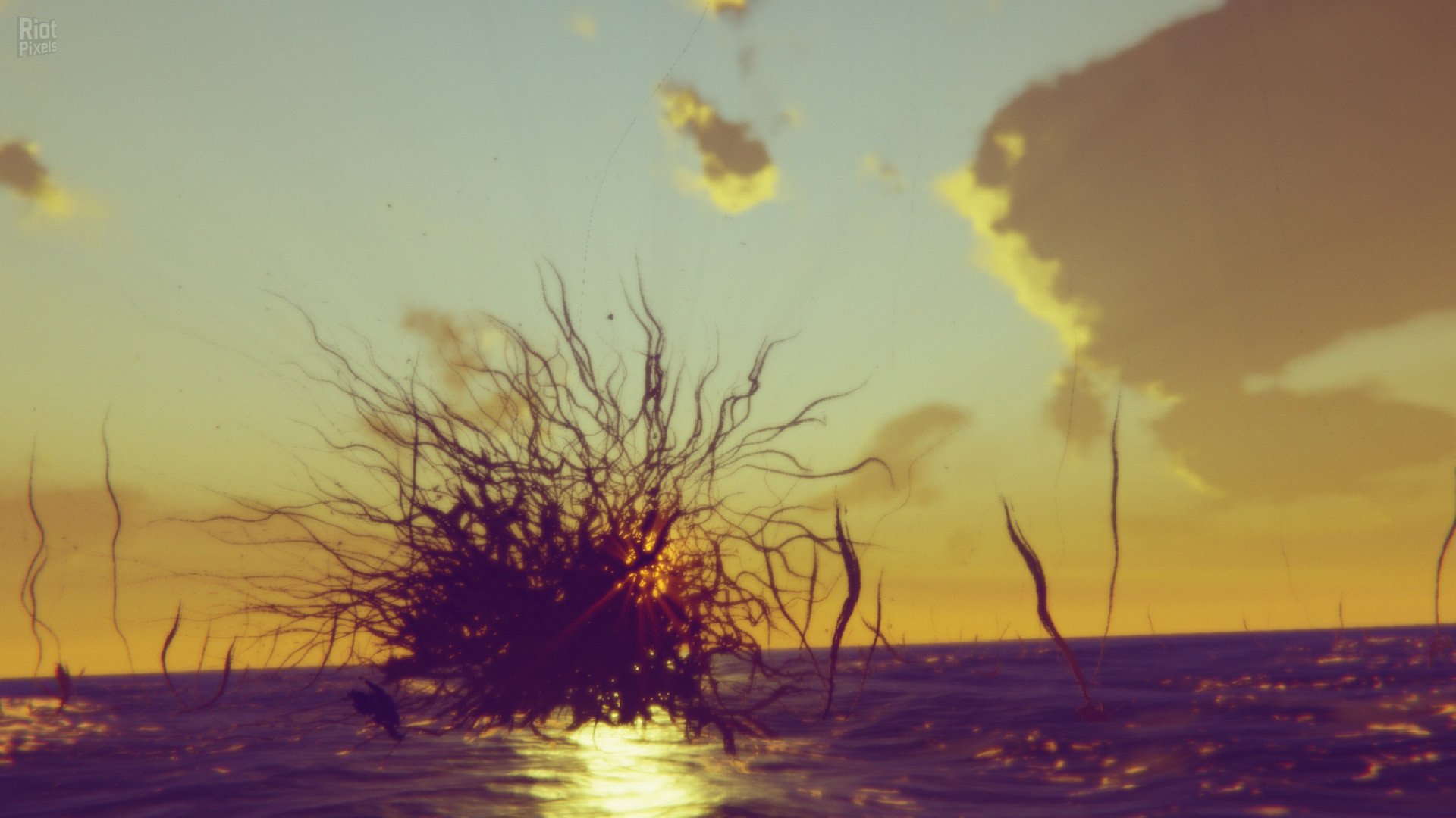 [13]-Lost At Sea Download-HohohoGames