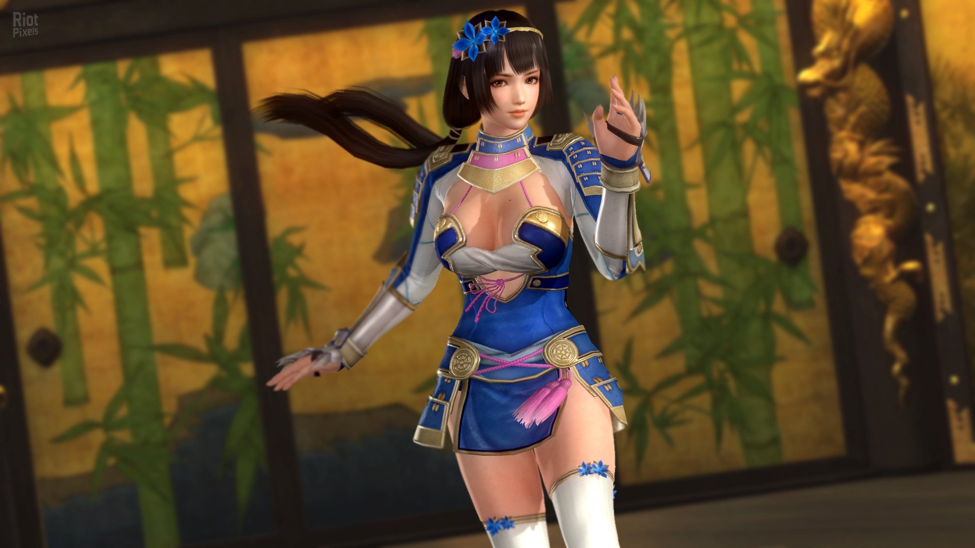 [7]-Dead or Alive 5: Last Round – v1.10C + All DLCs + Unlocker Download-HohohoGames