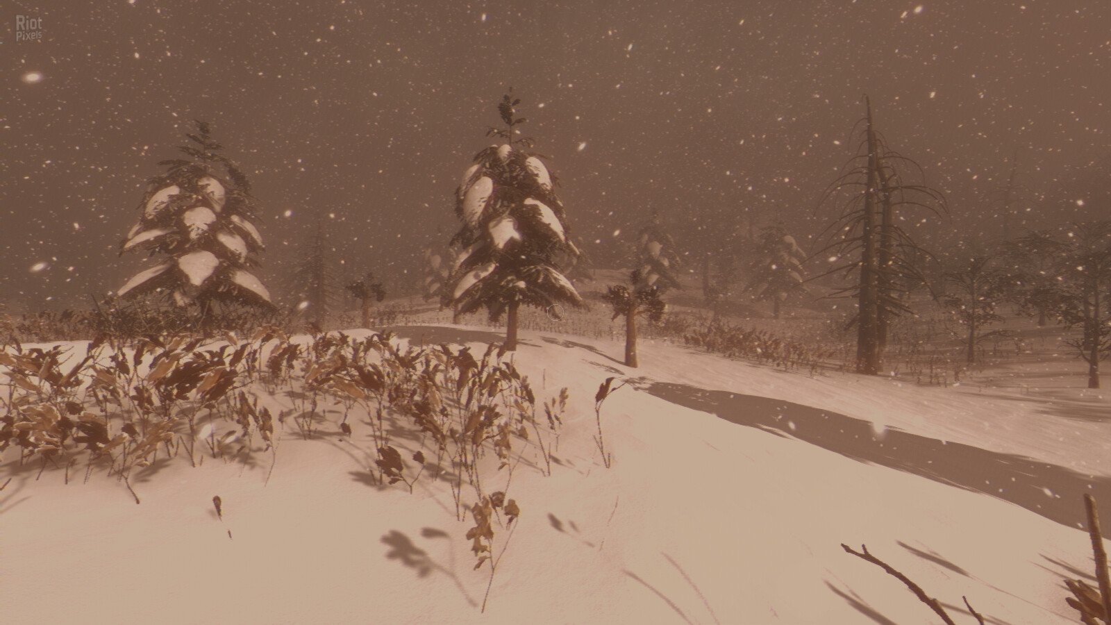 [4]-Tales Beyond The Tomb: Pineville Night Stalker Download-HohohoGames