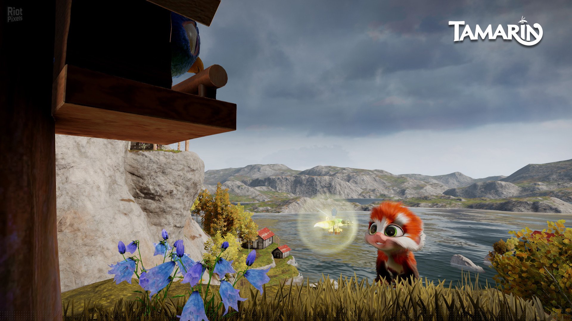 [16]-Tamarin Download-HohohoGames
