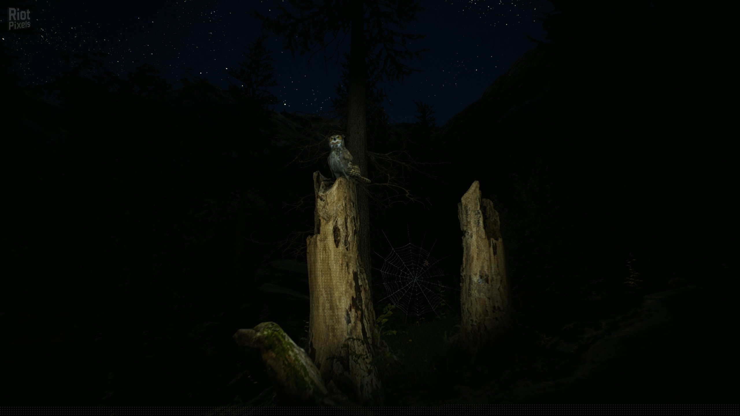 [3]-Morels: The Hunt Download-HohohoGames