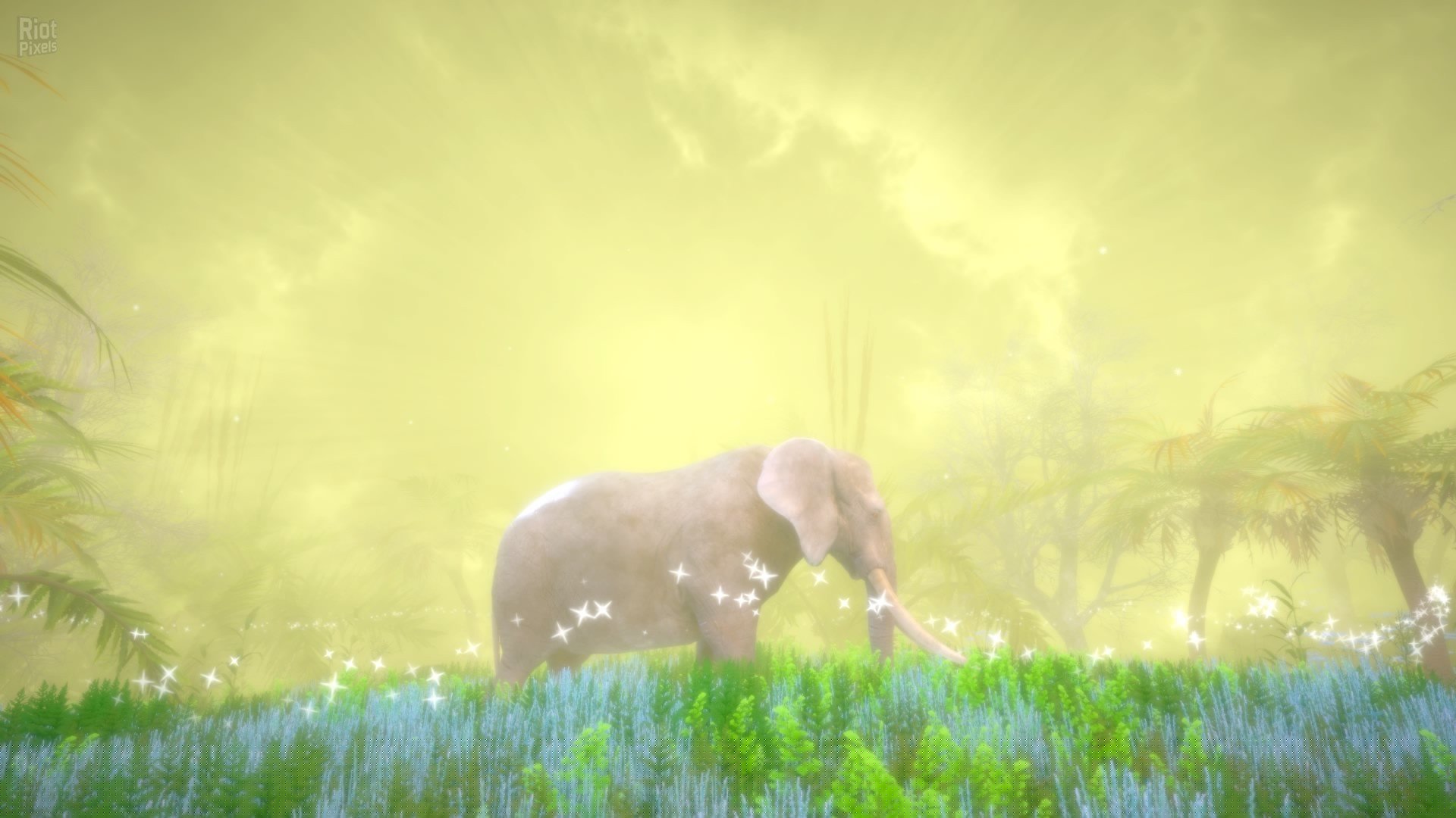 [9]-Hidden Treasures in the Forest of Dreams Download-HohohoGames