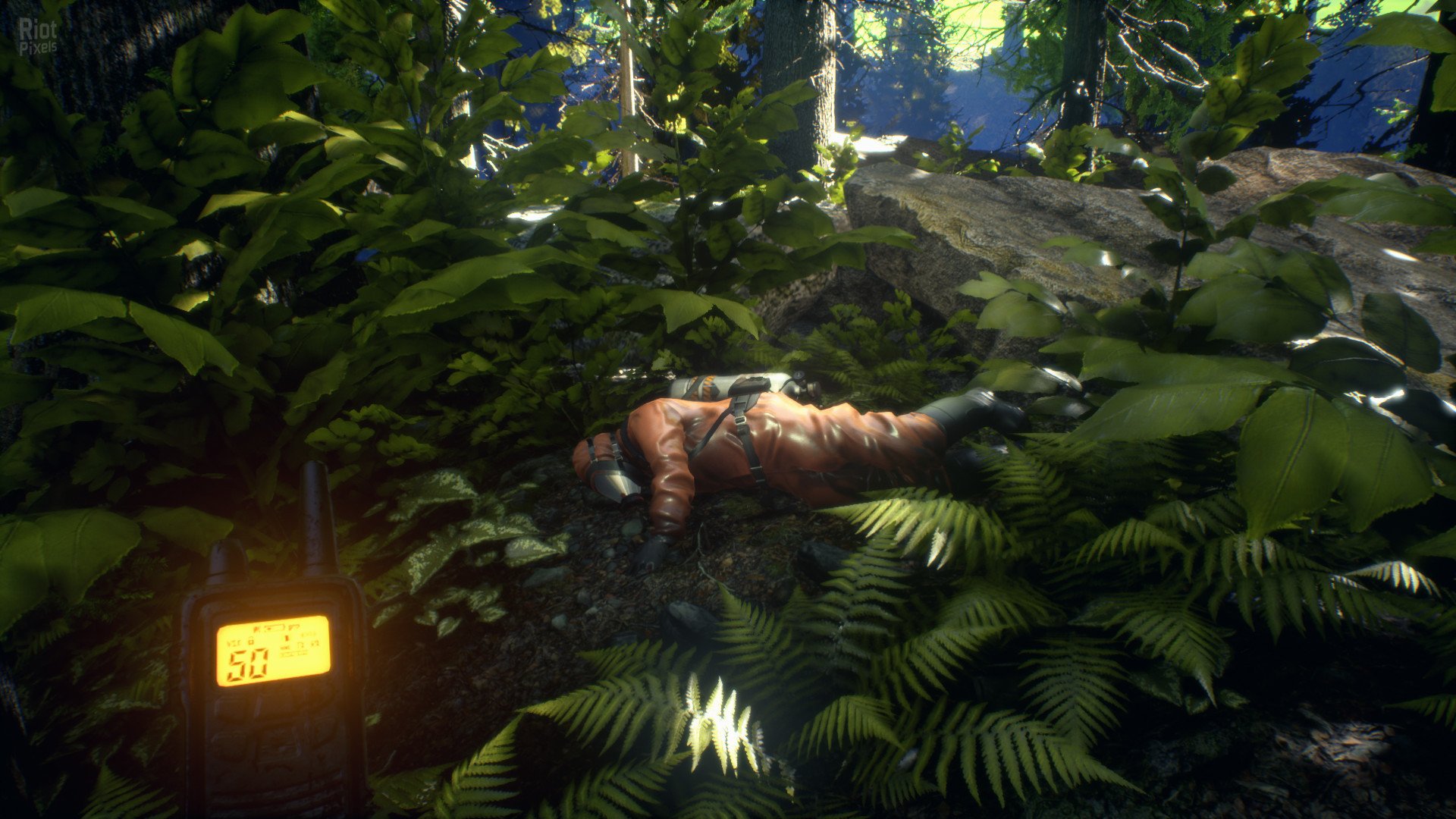 [3]-Asemblance: Oversight Download-HohohoGames