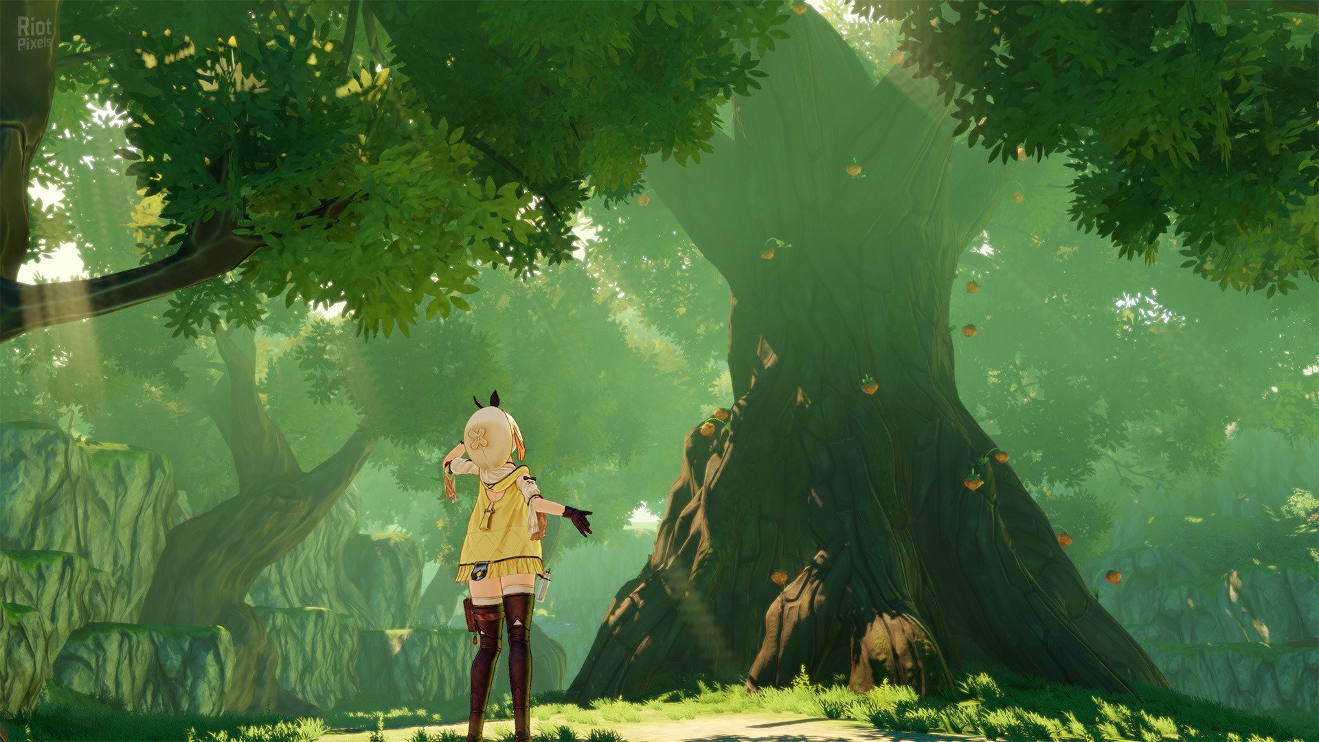 [12]-Atelier Ryza: Ever Darkness & The Secret Hideout – Digital Deluxe Edition + 8 DLCs Download-HohohoGames