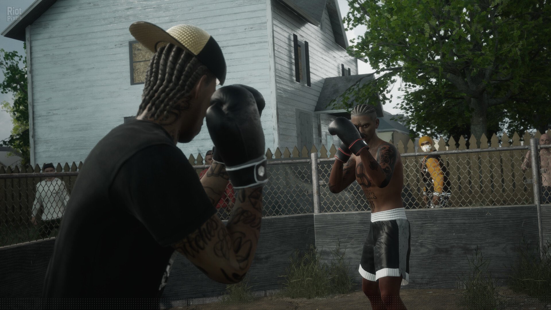 [5]-Backyard Boxing – v1.1.3 Download-HohohoGames