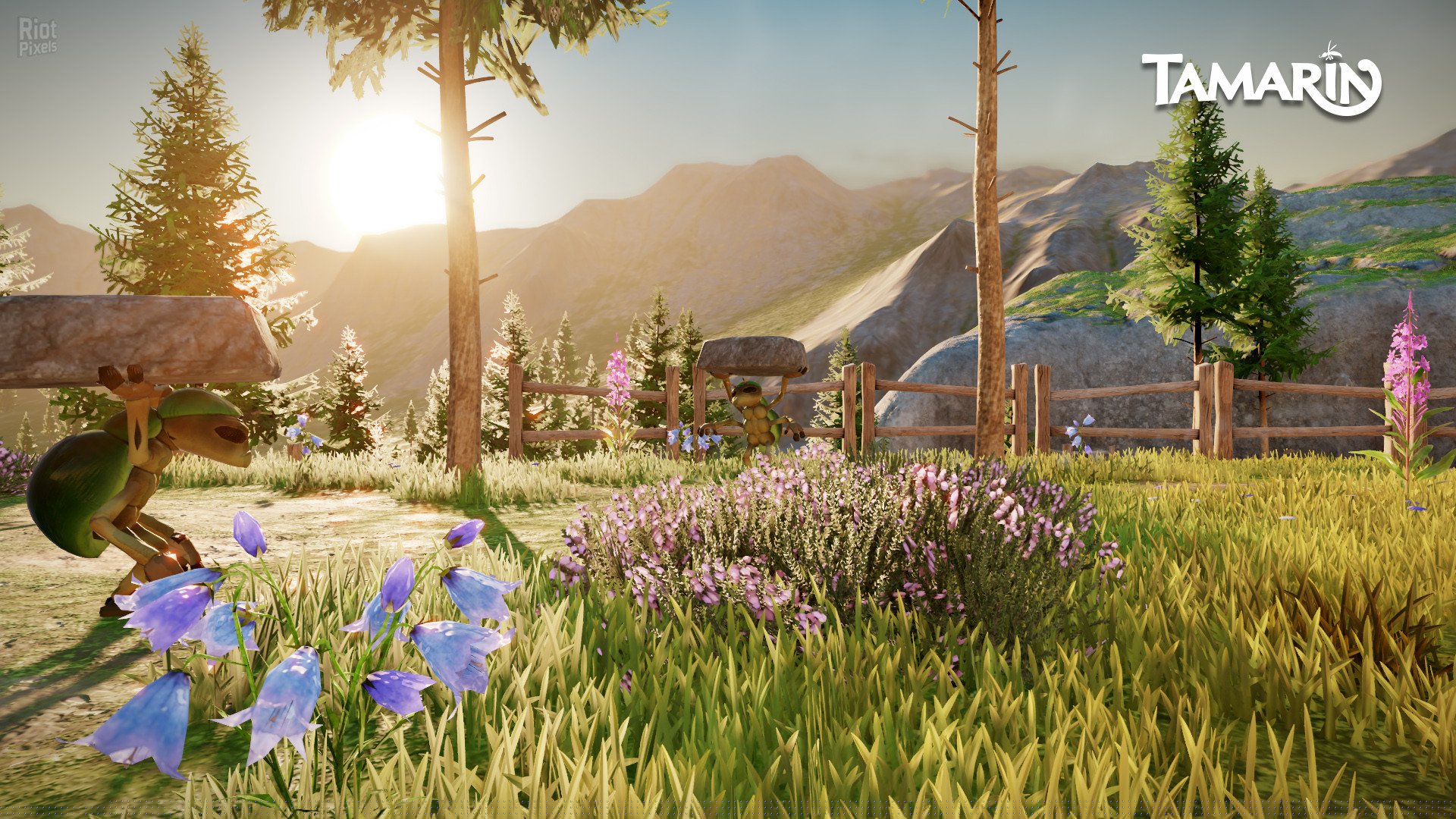 [13]-Tamarin Download-HohohoGames