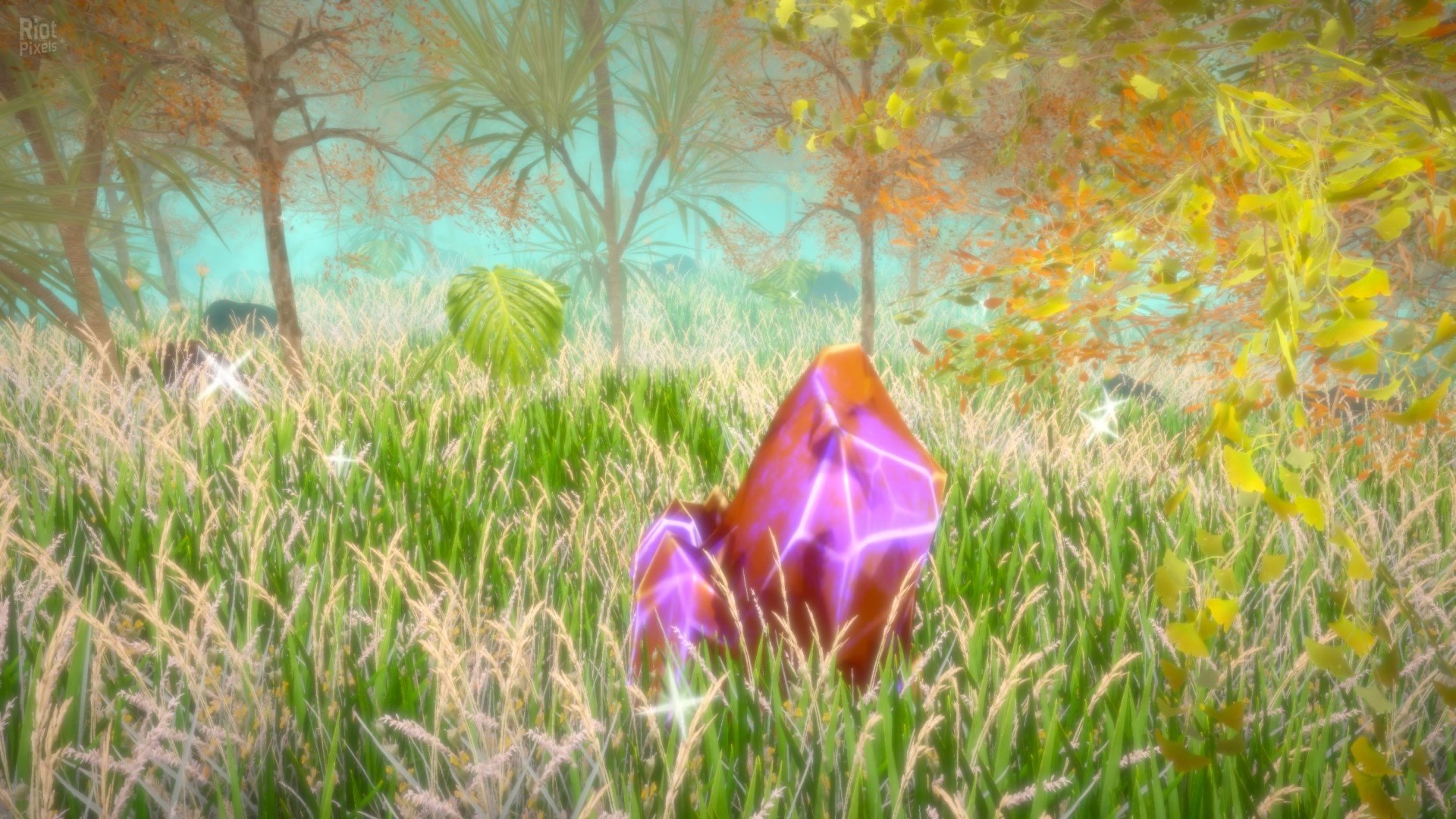 [6]-Hidden Treasures in the Forest of Dreams Download-HohohoGames
