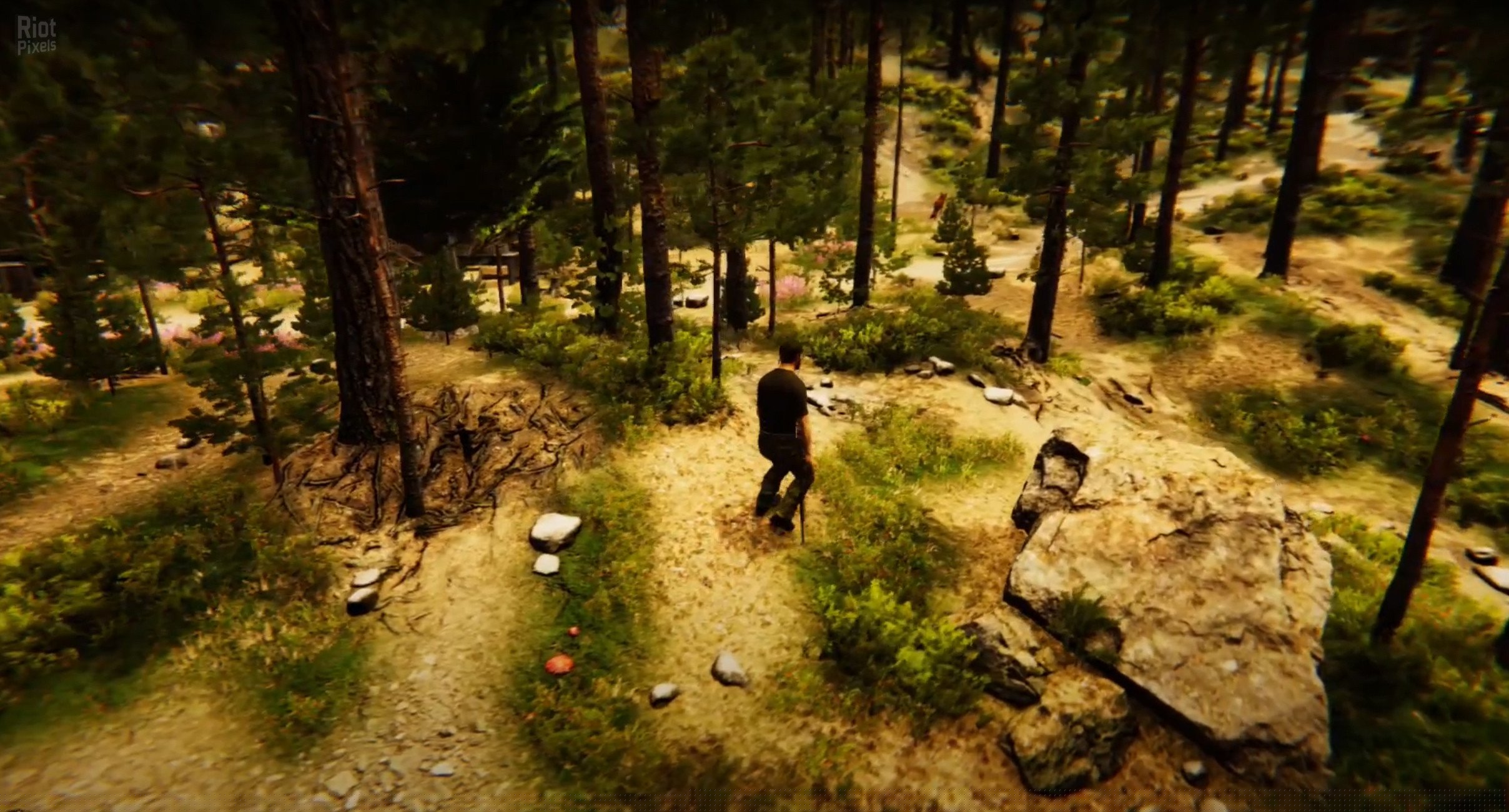 [15]-Animal Simulator Download-HohohoGames