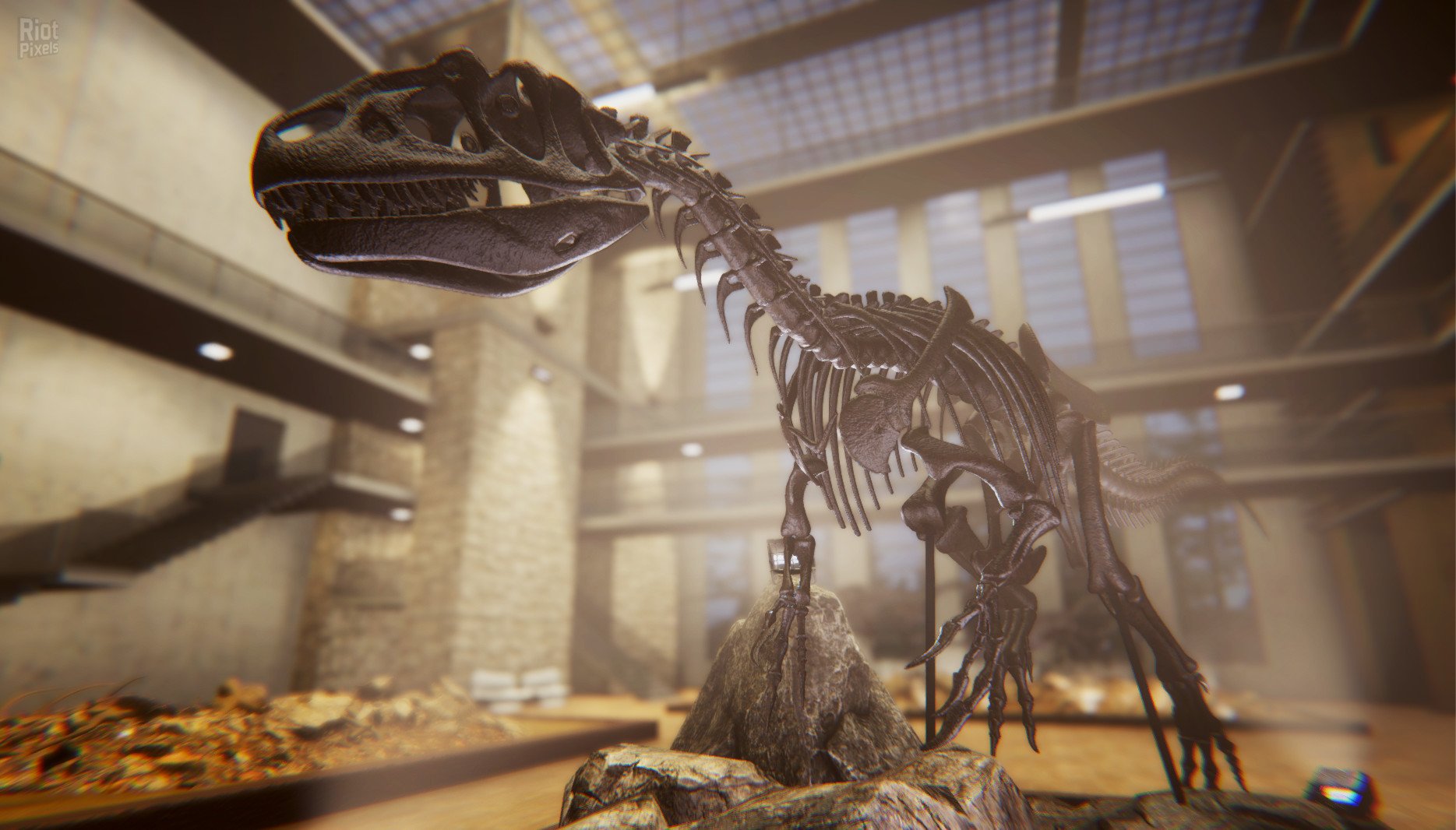 [7]-Dinosaur Fossil Hunter – v2.0.21 Download-HohohoGames