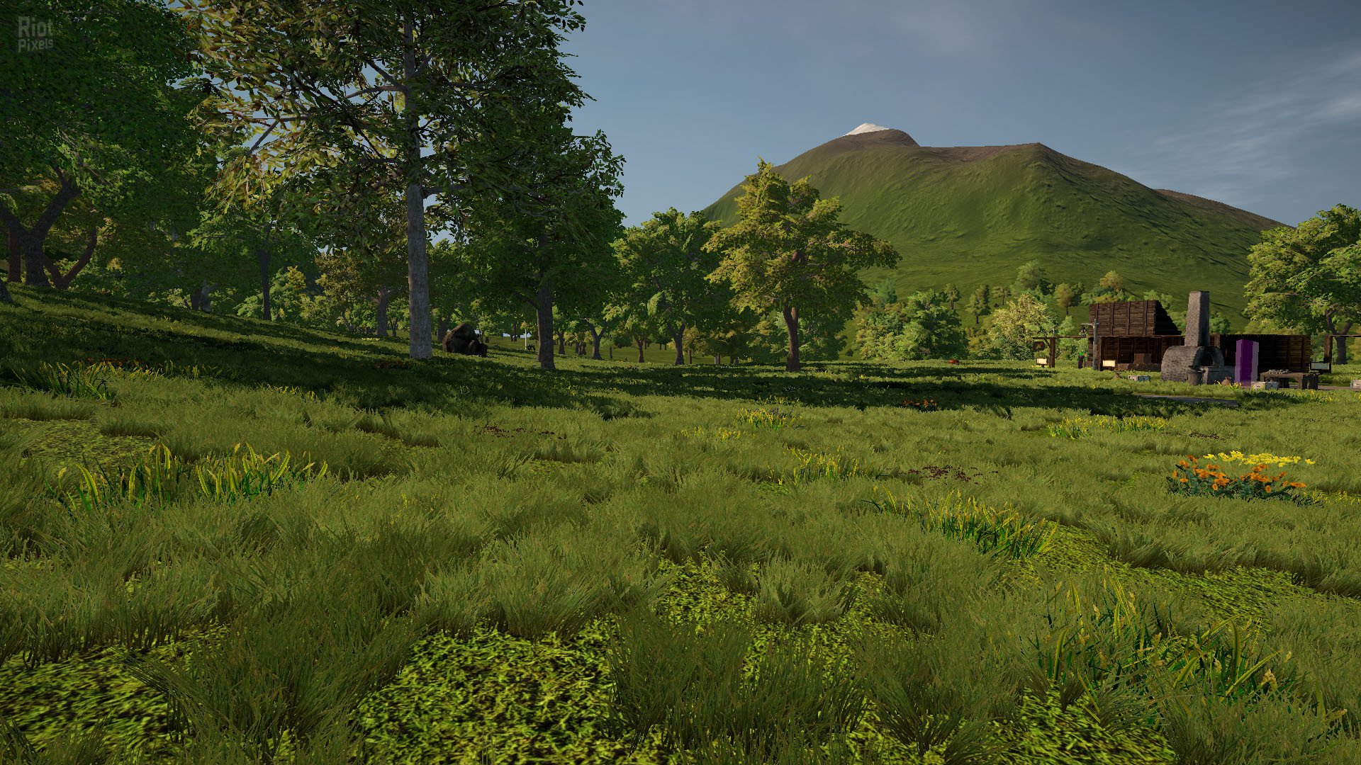 [11]-Solace Crafting – v1.0 Release Download-HohohoGames