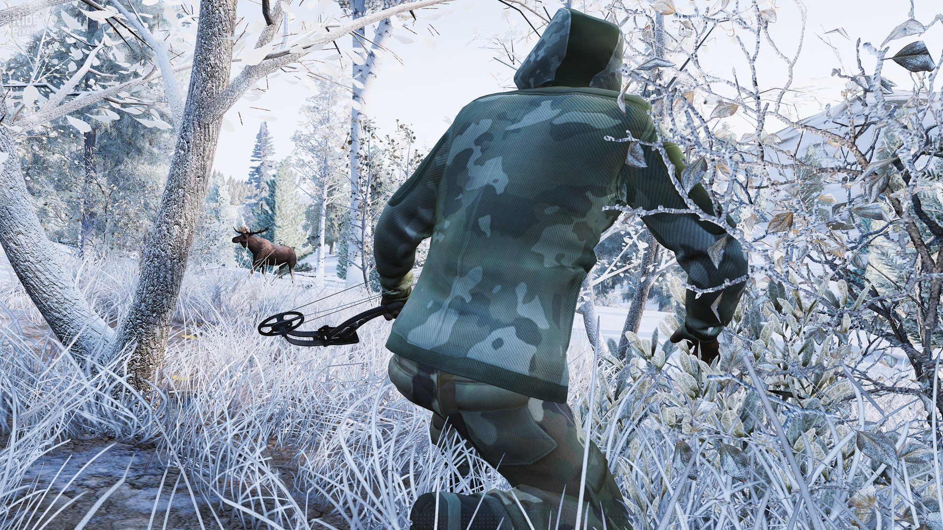 [5]-Hunting Simulator – v1.2 + DLC Download-HohohoGames